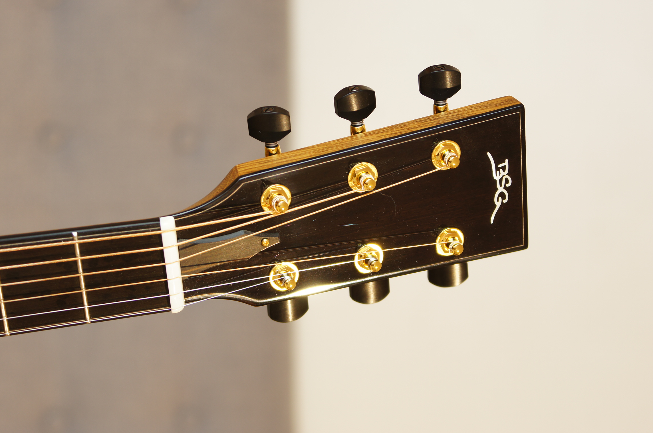 BSG GA 27 CF - Palisander / Fichte