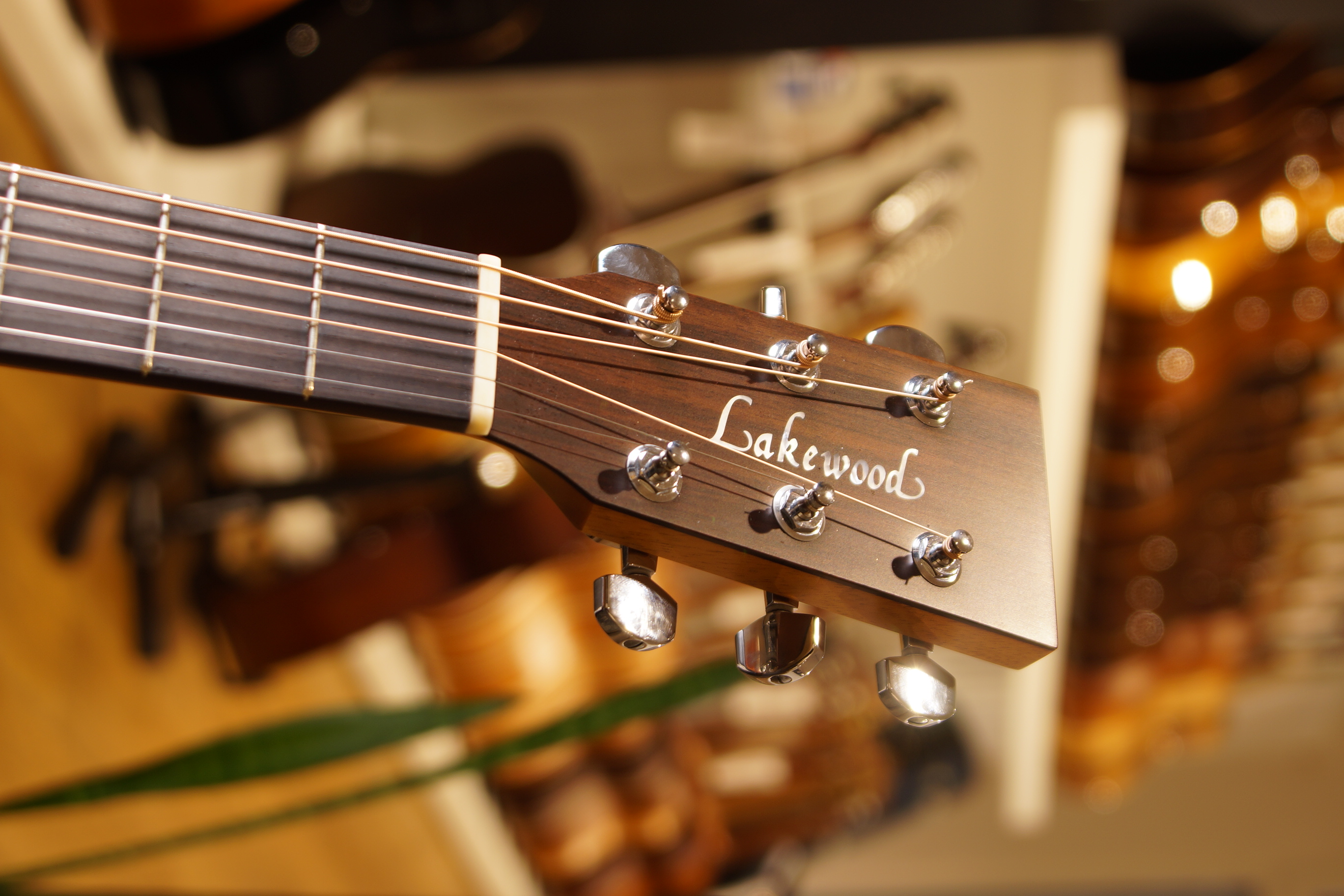 Lakewood M-14 Bj. 2000 Sondermodell gebraucht mit Koffer
