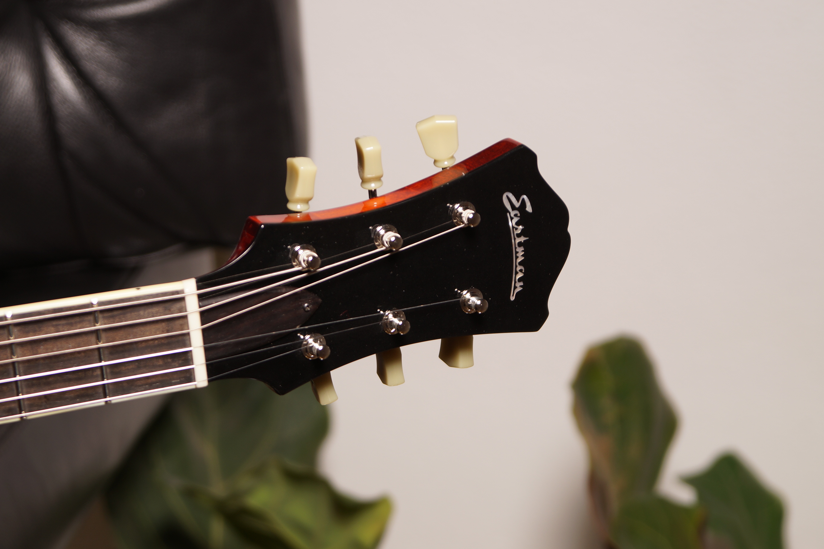 Eastman T386 Classic