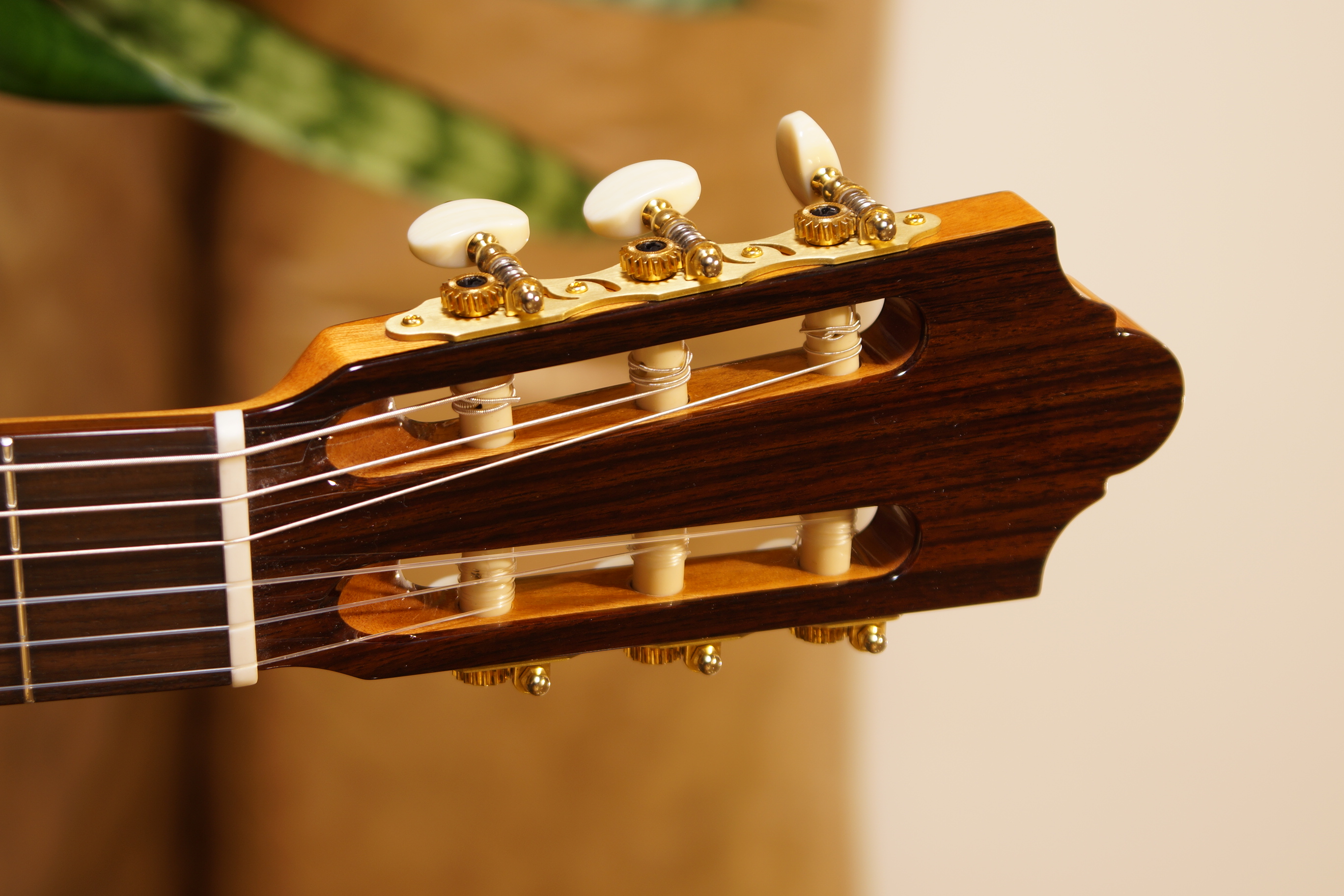 Duke Konzertgitarre Student F