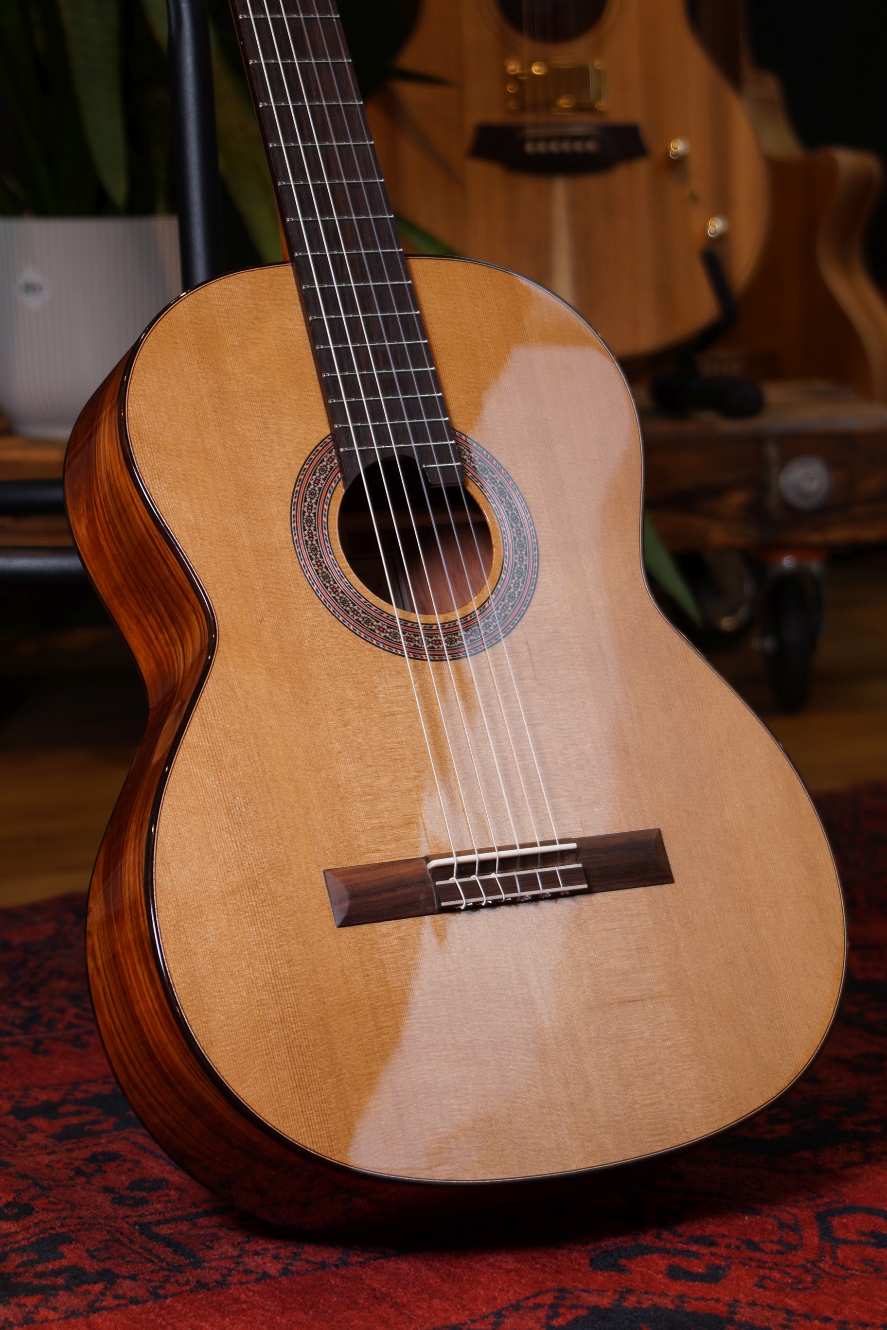 Duke Basis C
