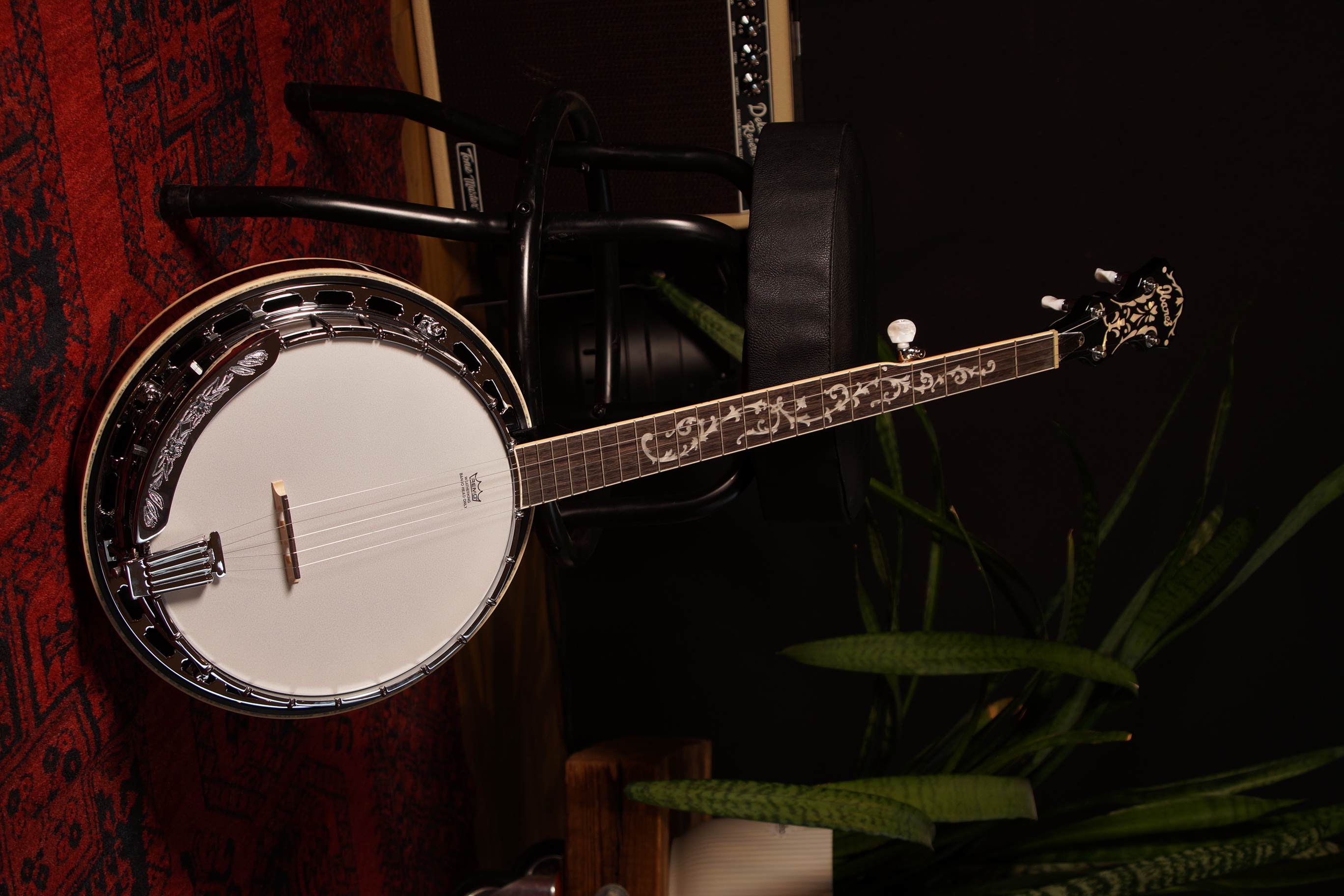 IBANEZ Banjo 5-String