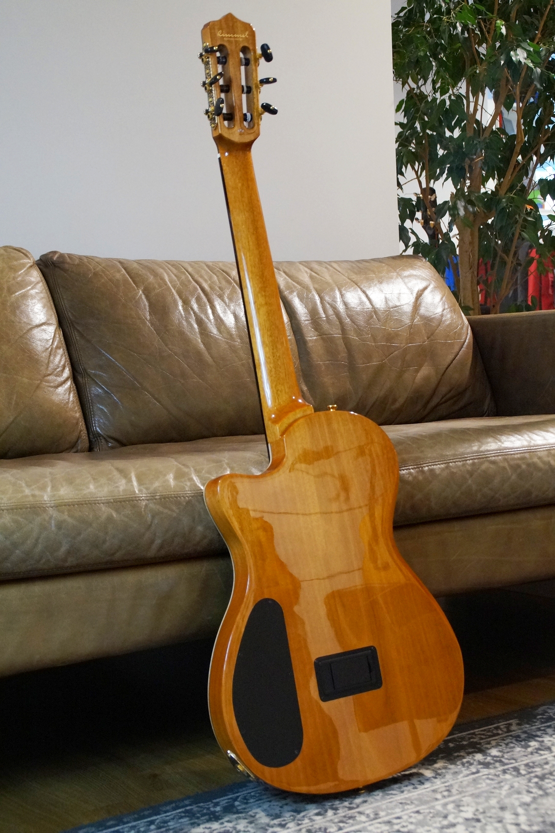 Cordoba Stage Limited Ziricote