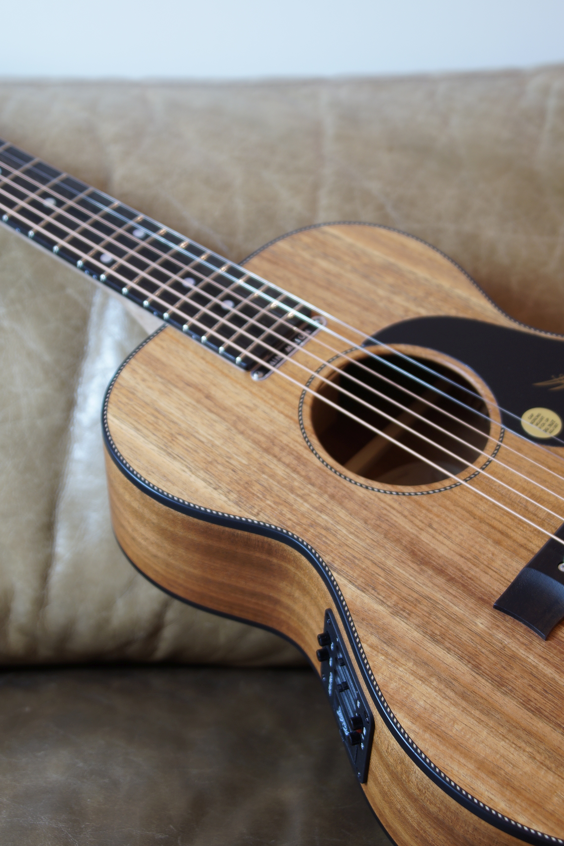 Maton EMBW 6 Mini