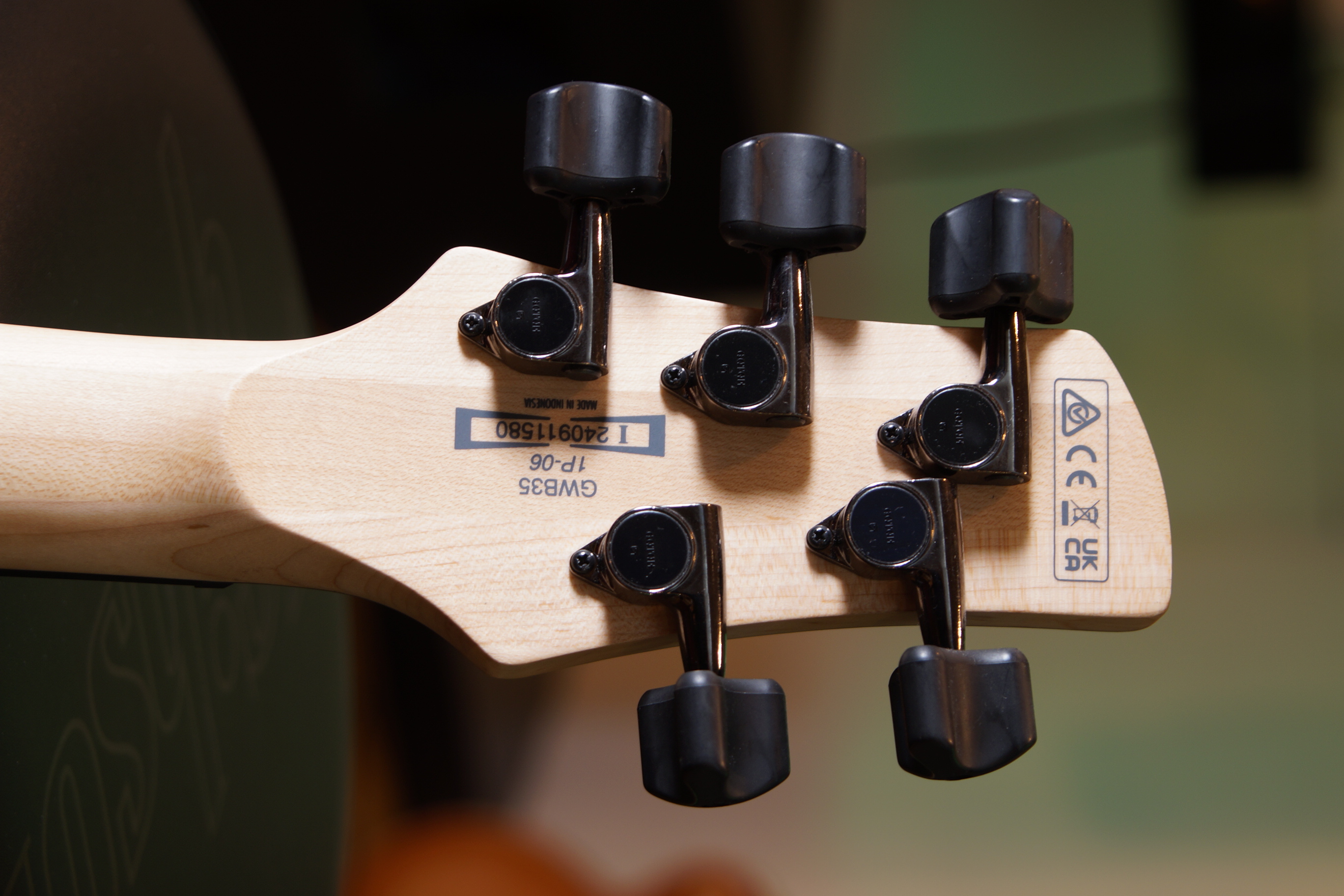 IBANEZ Gary Willis Signature E-Bass 5-String Fretless - Black Flat
