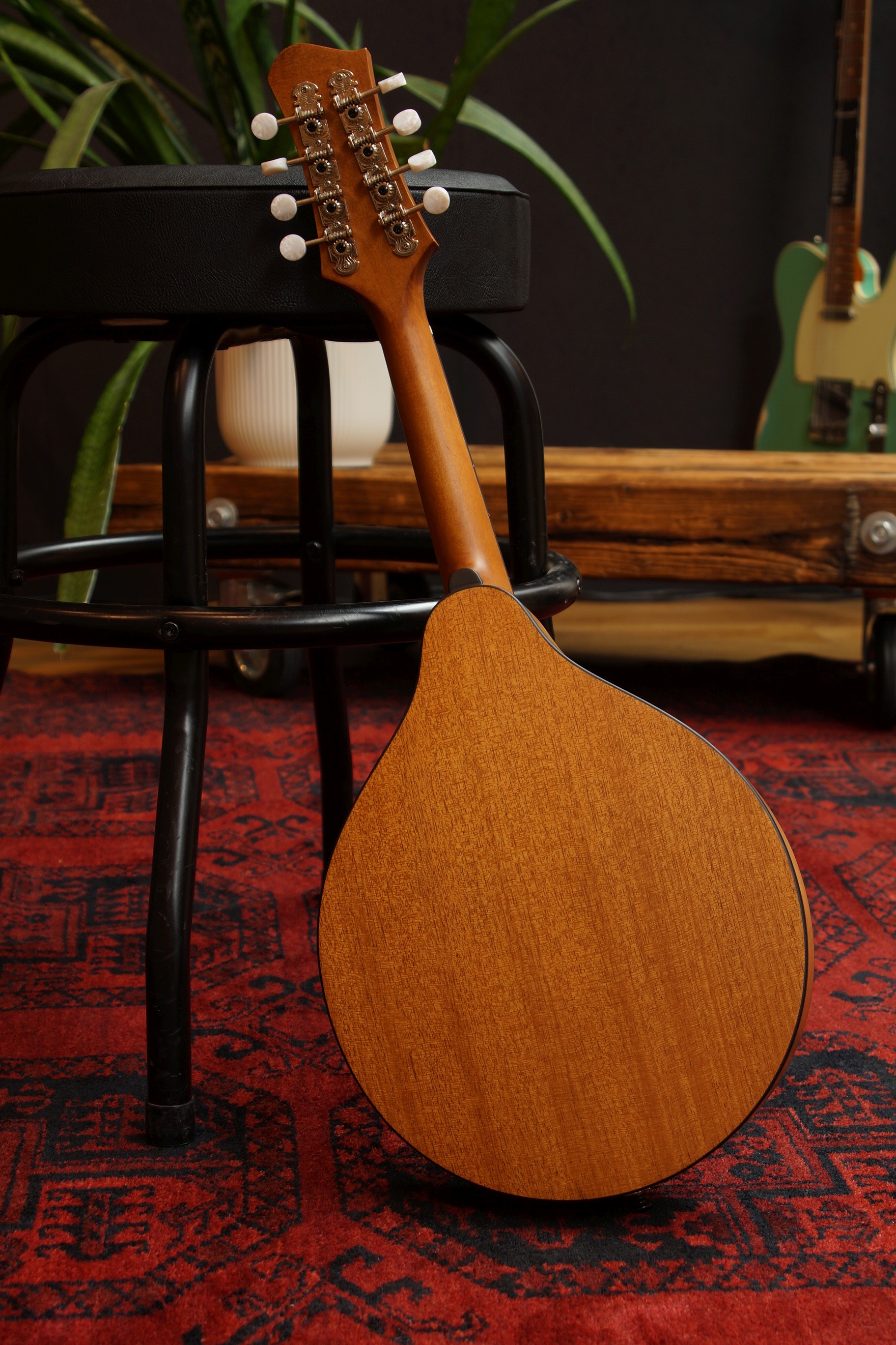Eastman PCH-M104-GB A-Style Mandoline Gold Burst inklusive Gigbag