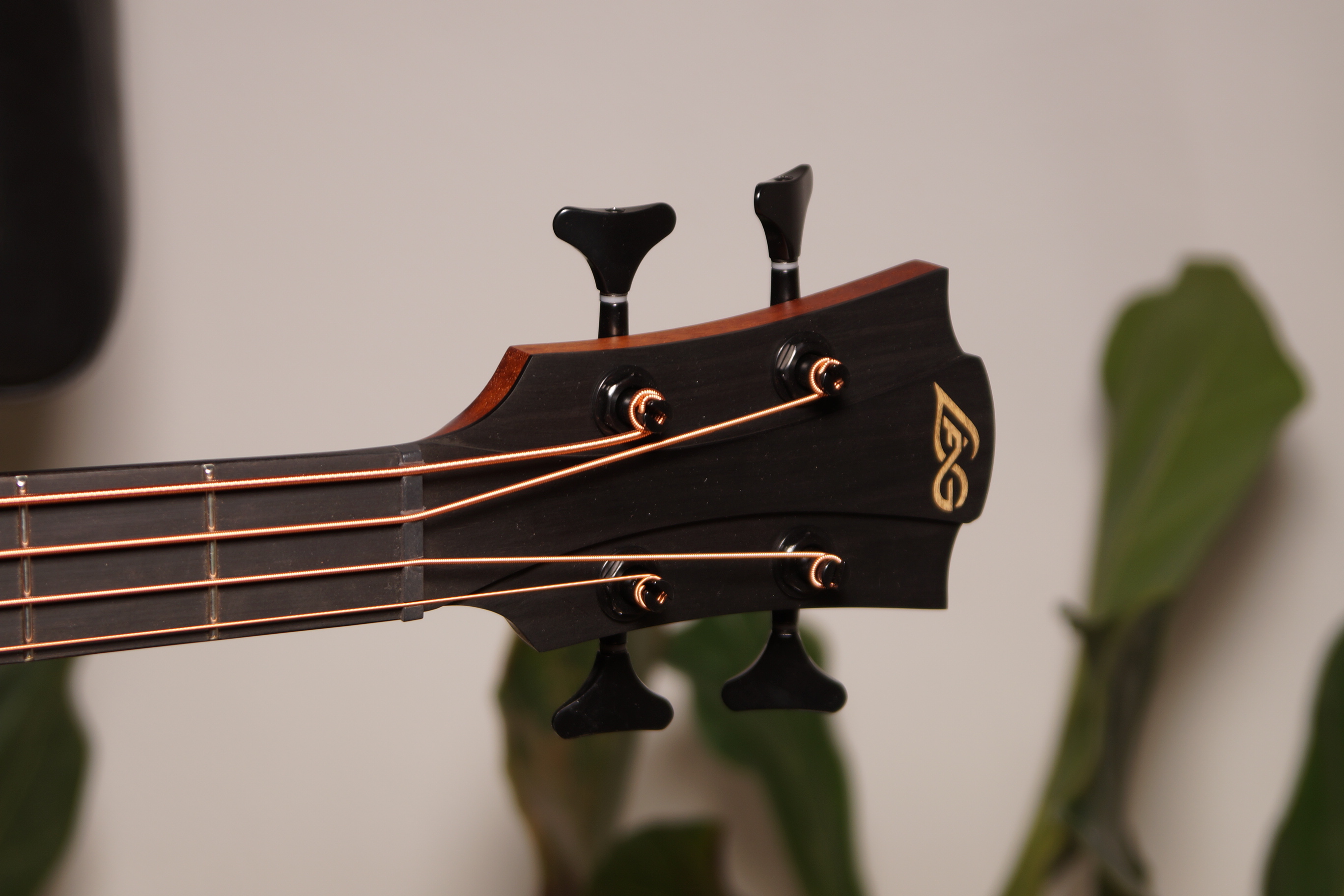 LAG SAUVAGE-BCE Accoustic Bass mit Gig Bag