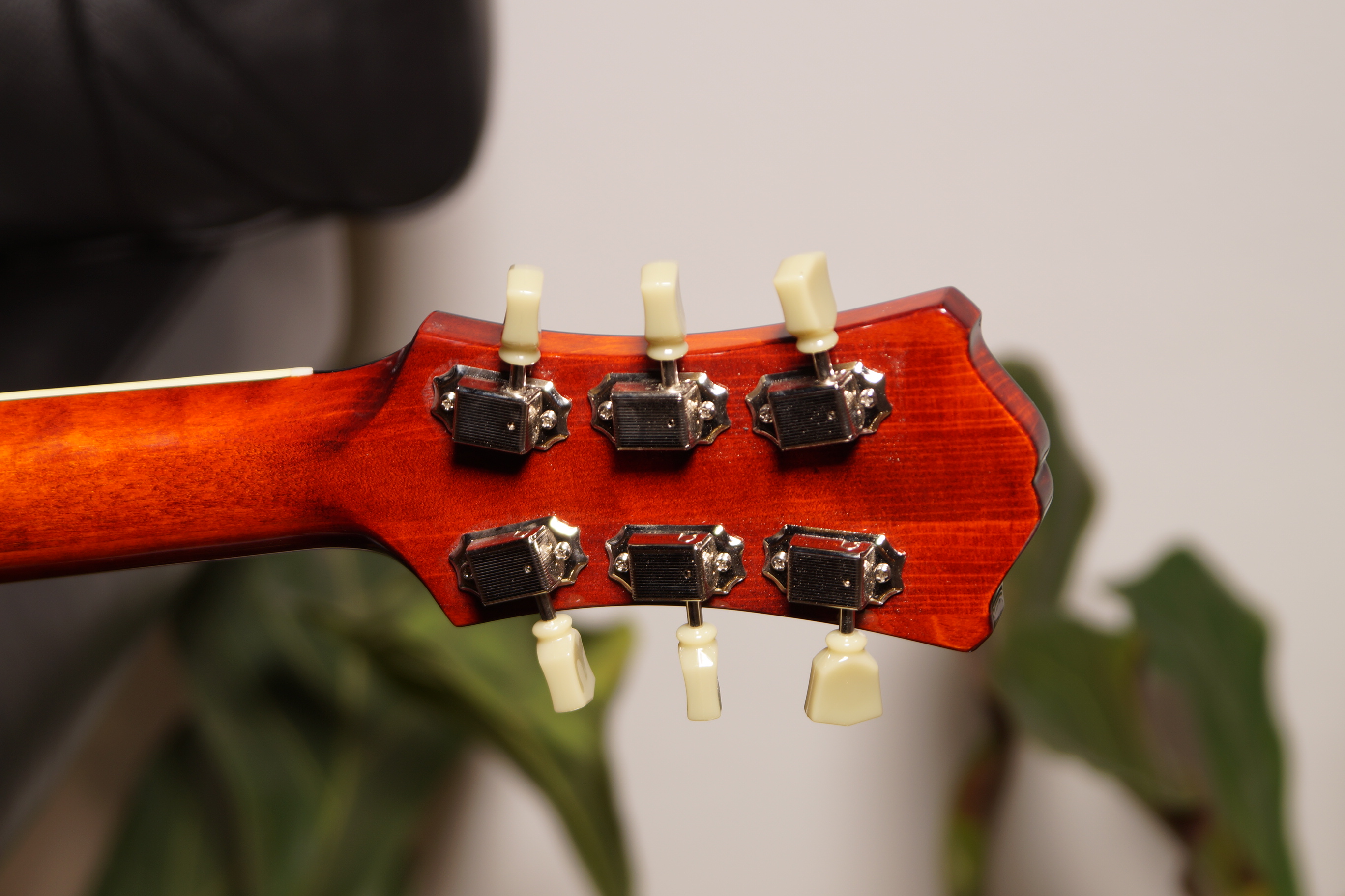 Eastman T386 Classic