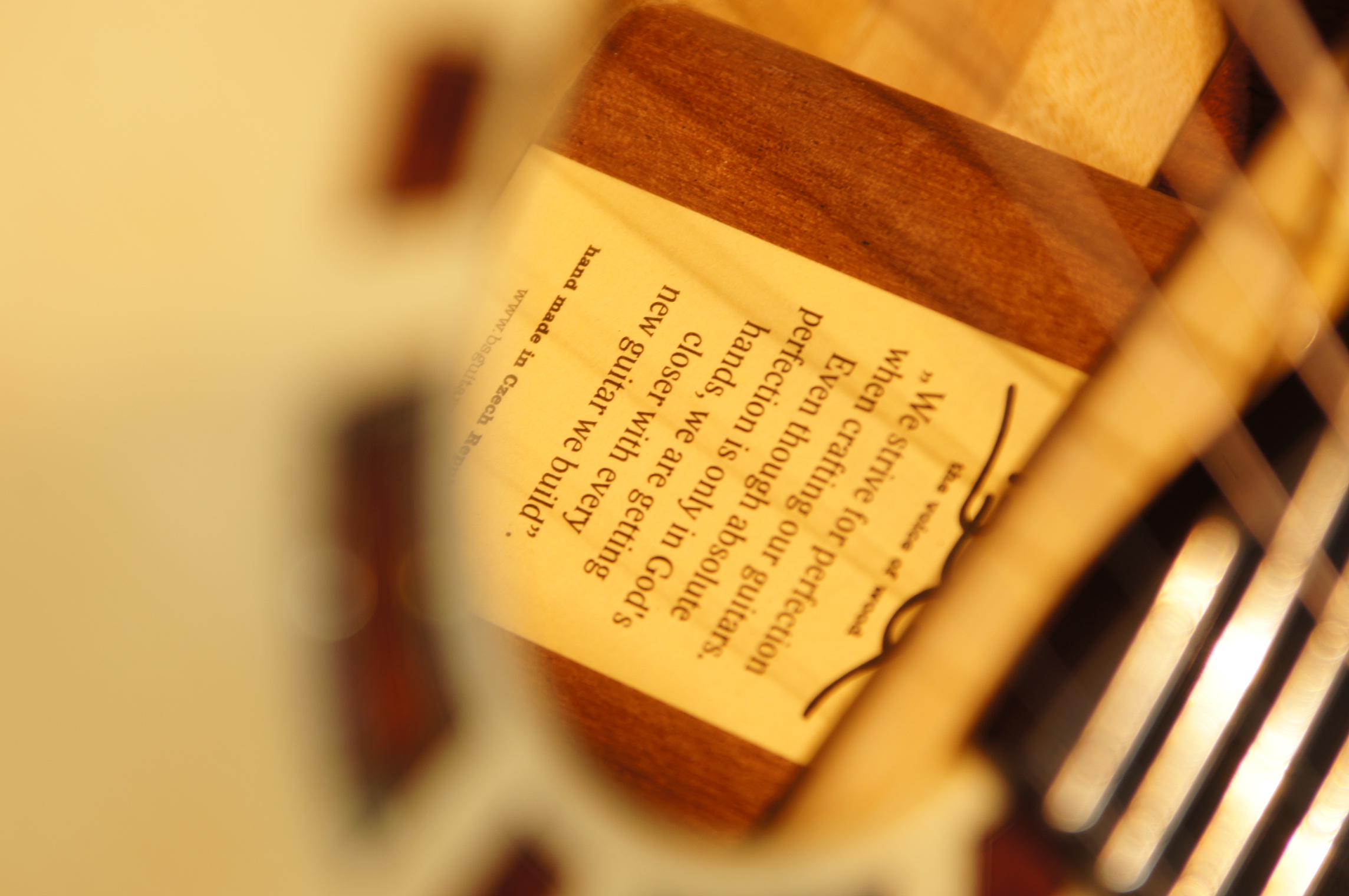 BSG GJ 16 SCF Fanfret - Ahorn / Fichte mit Tonabnehmer