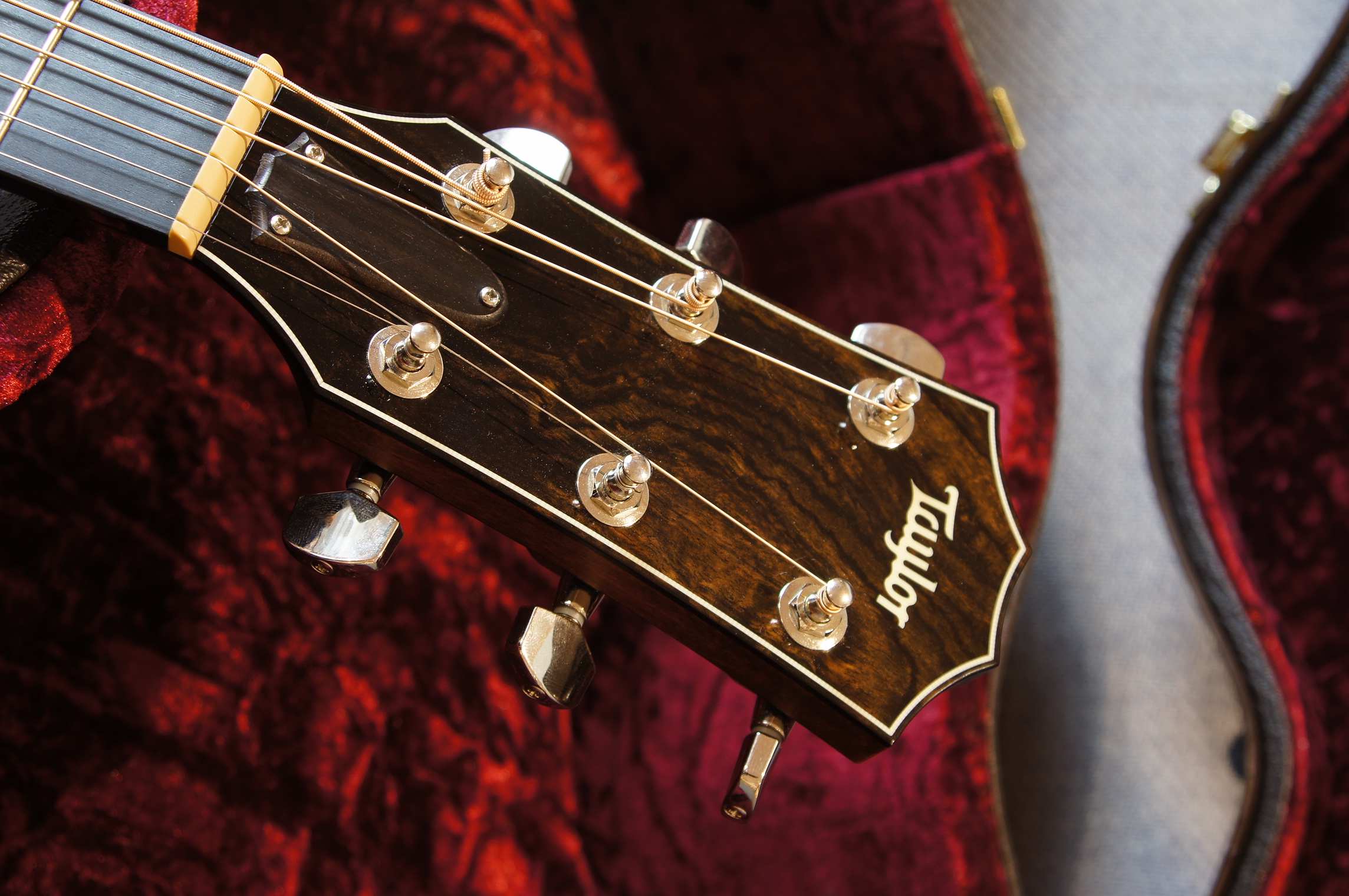 Taylor 618e Baujahr 2015 - gebraucht