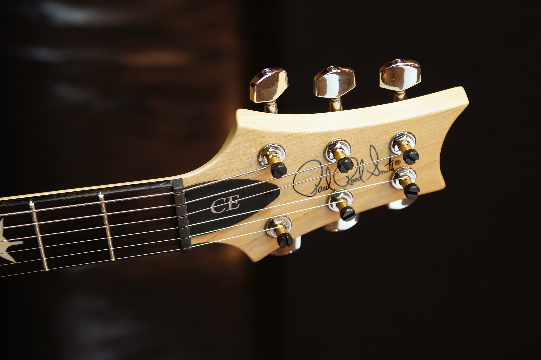 PRS CE 24 Semi Hollow ER - Eriza Verde