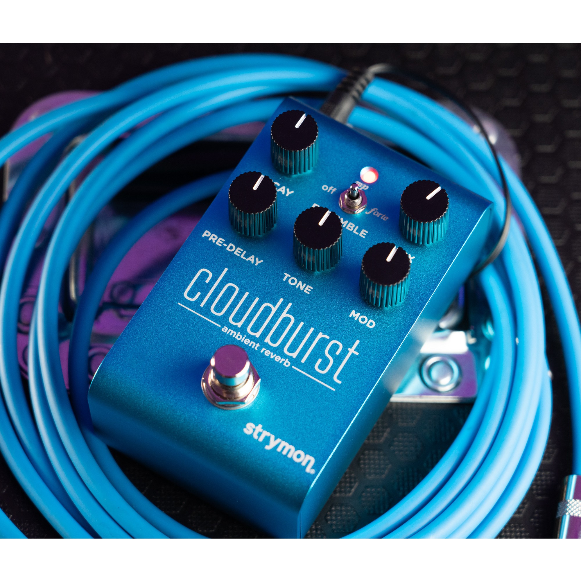 Strymon Cloudburst