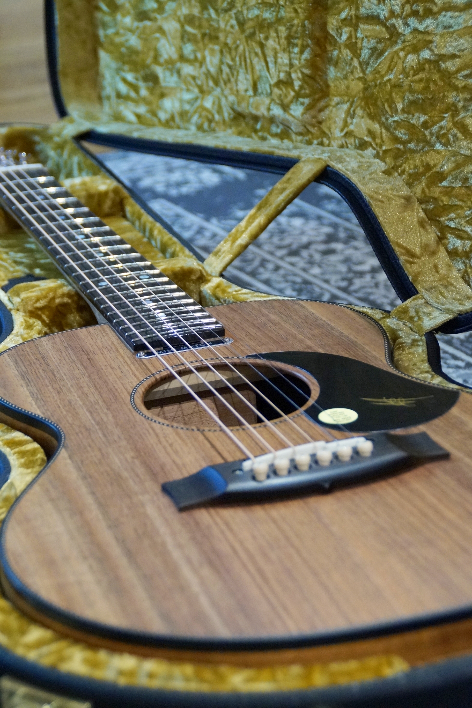 Maton EMBW 6 Mini