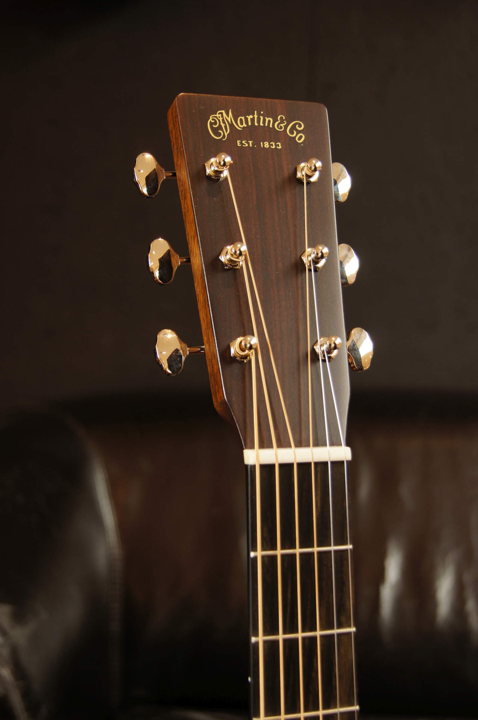 Martin D-18E-LRB mit LR Baggs Tonabnehmer