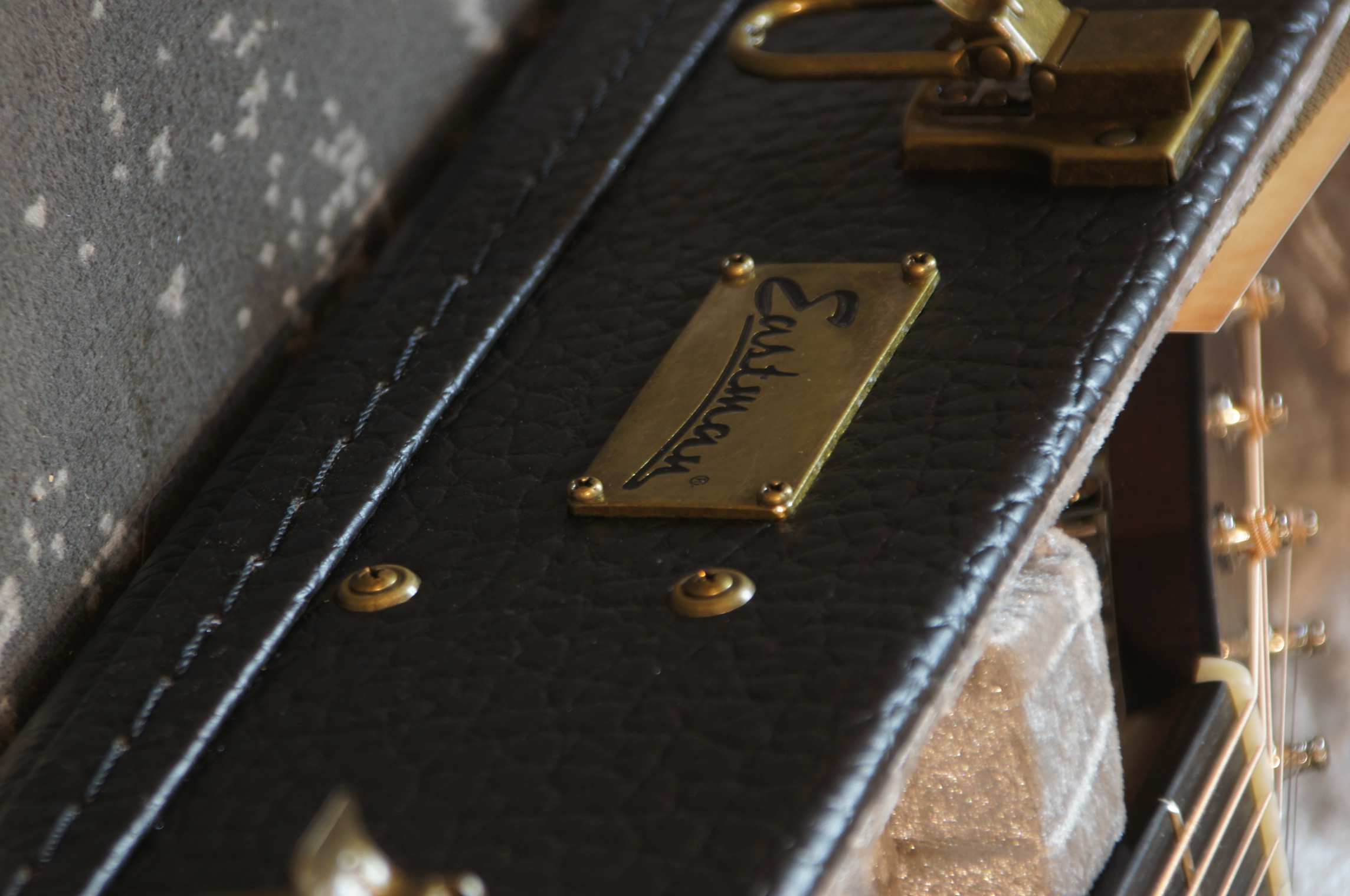 Eastman E20OM-TC Thermo Cure mit Koffer