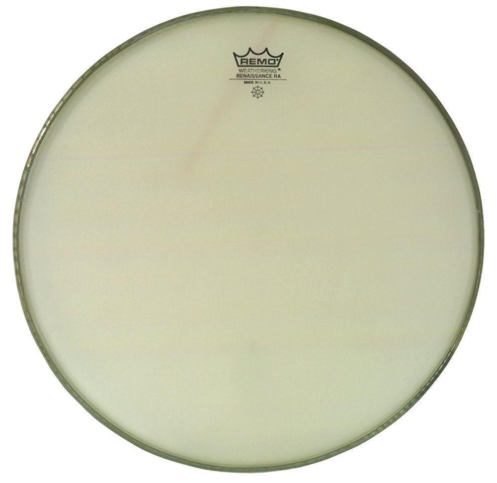 REMO 14" Ambassador Renaissance