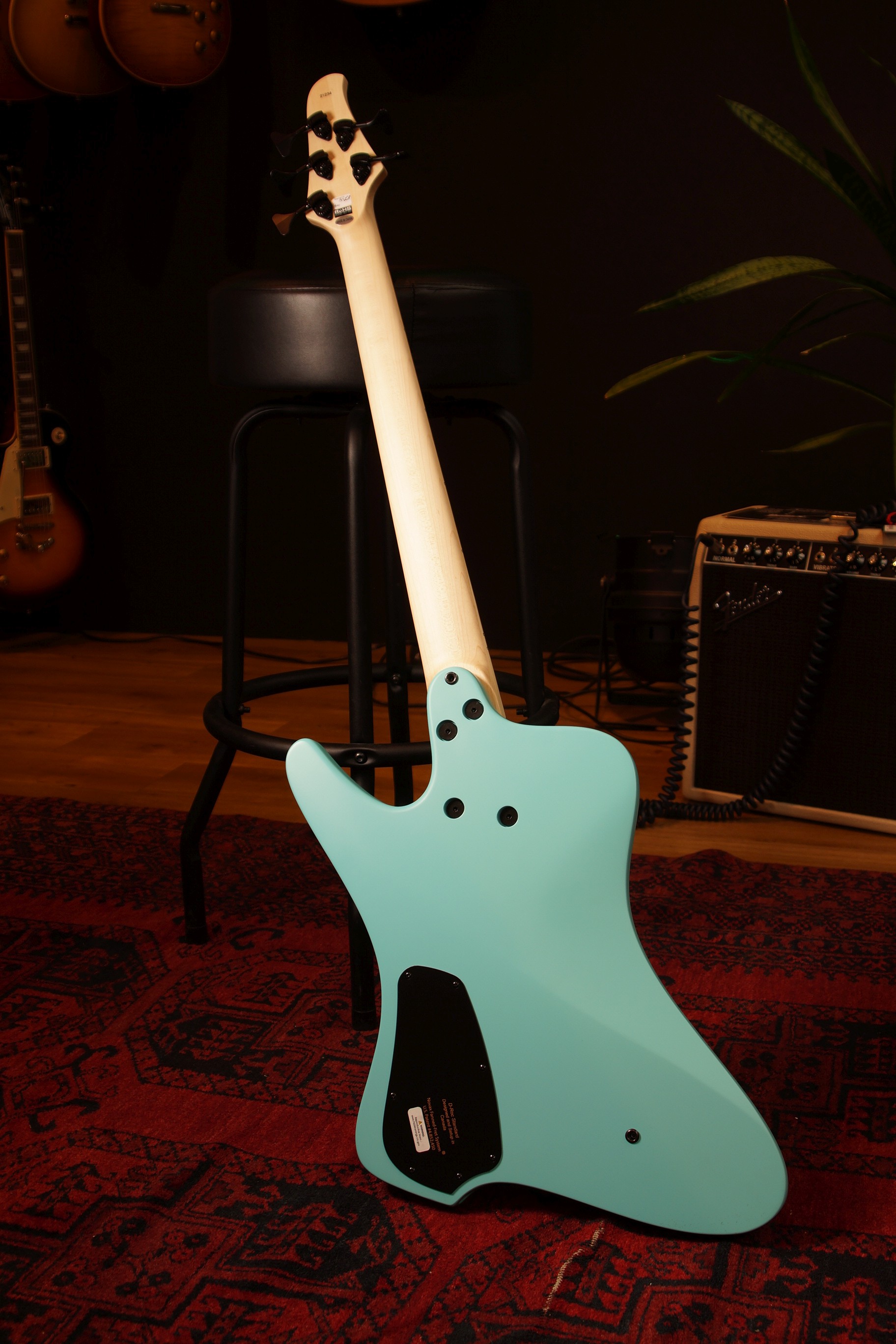 Dingwall D-Roc Standard 5-String Matte Celestial Blue