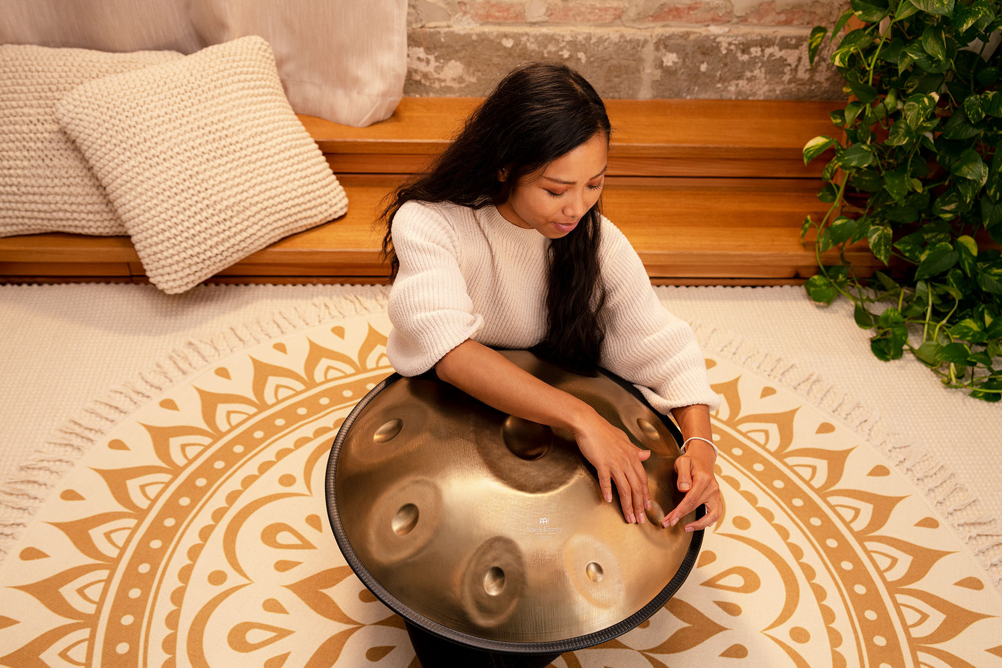 MEINL Sonic Energy Sensory Handpan Stainless D Kurd D/A,Bb,C,D,E,F,G,A - Vintage Gold