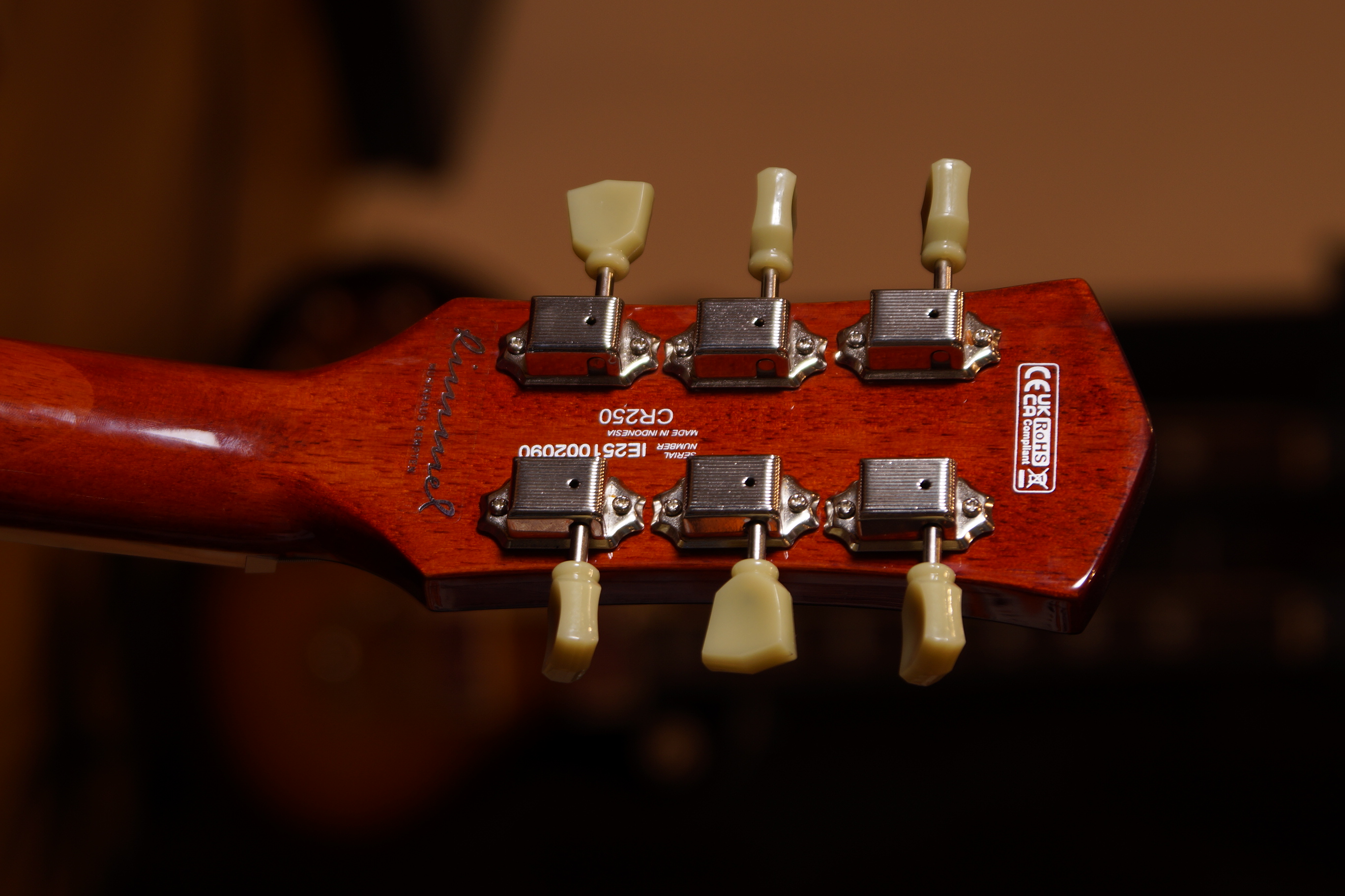 Cort E-Gitarre CR 250 VB