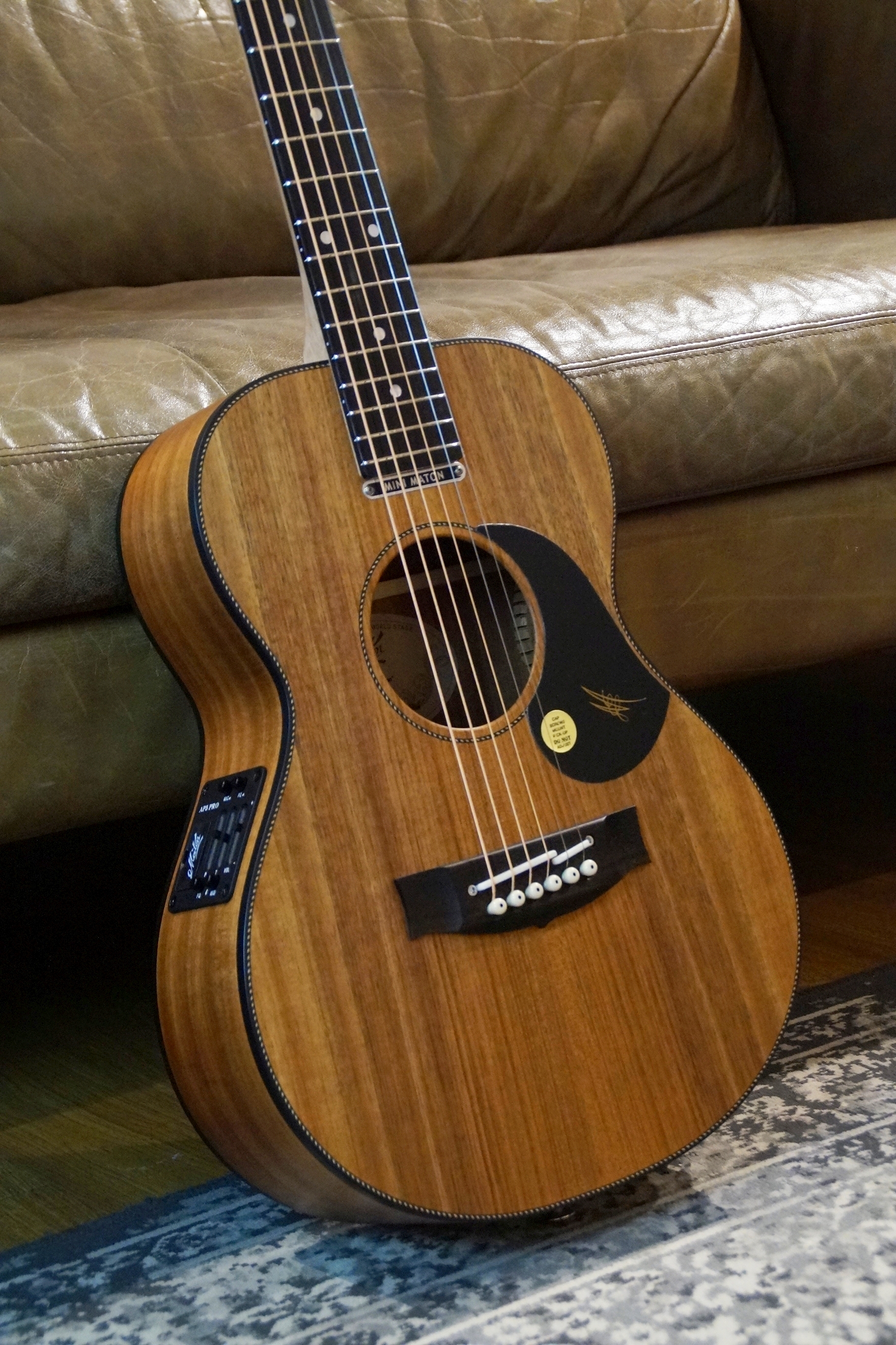 Maton EMBW 6 Mini