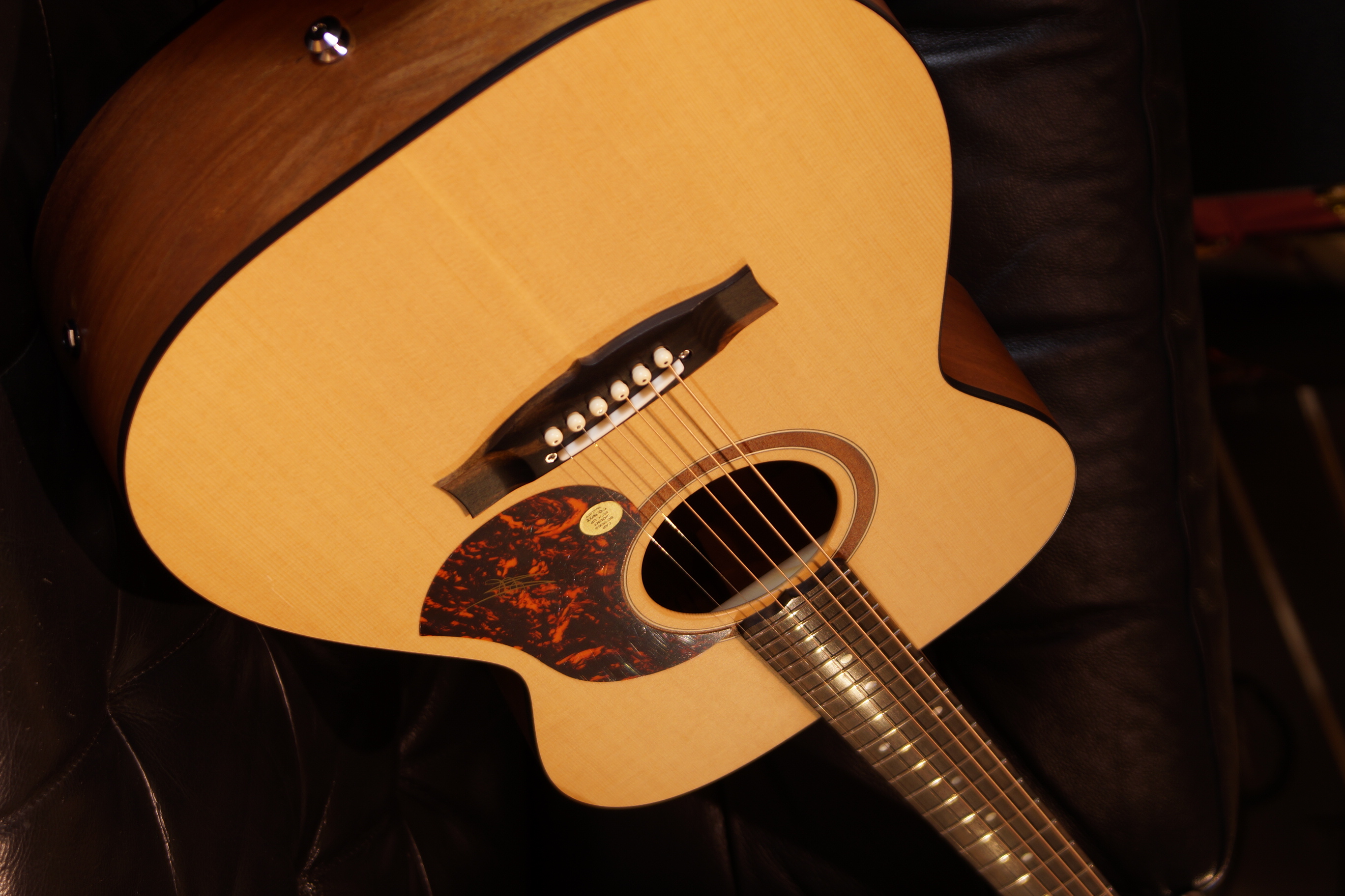 Maton SRS 808