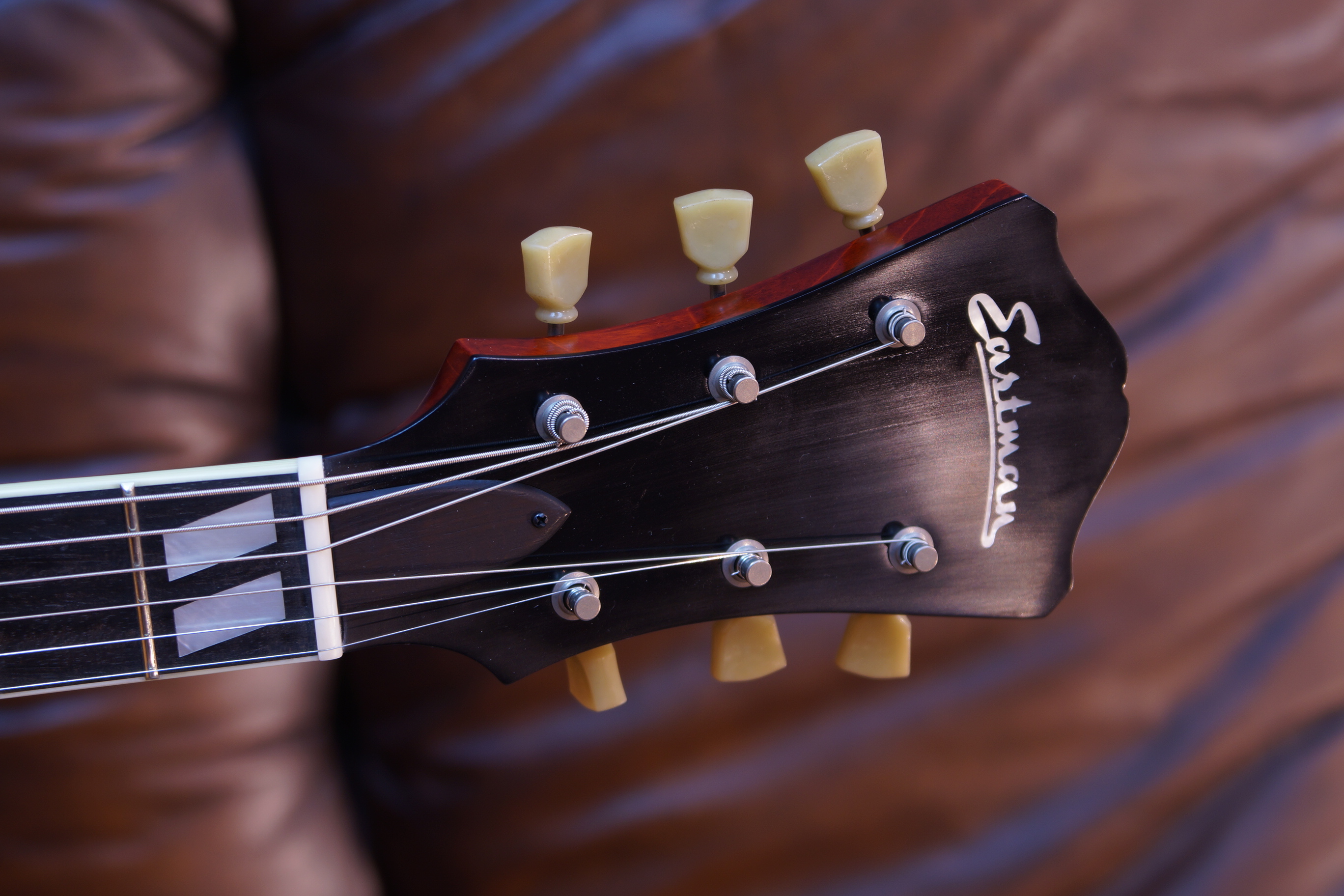 Eastman T49D/TV Archtop Antique Classic aged