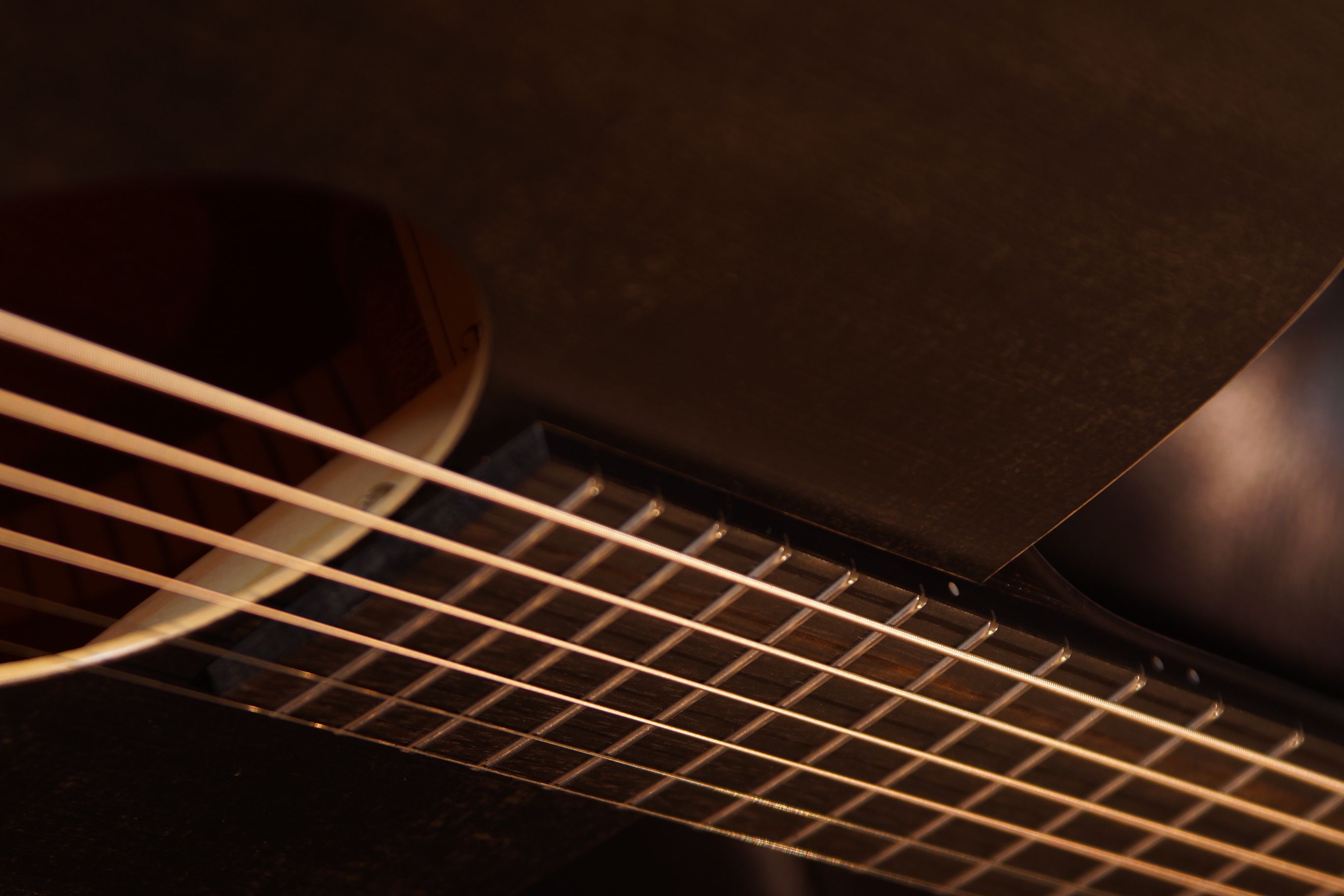 Lakewood Black Sheep mit L.R.Baggs Stage Pro Element und Gigbag