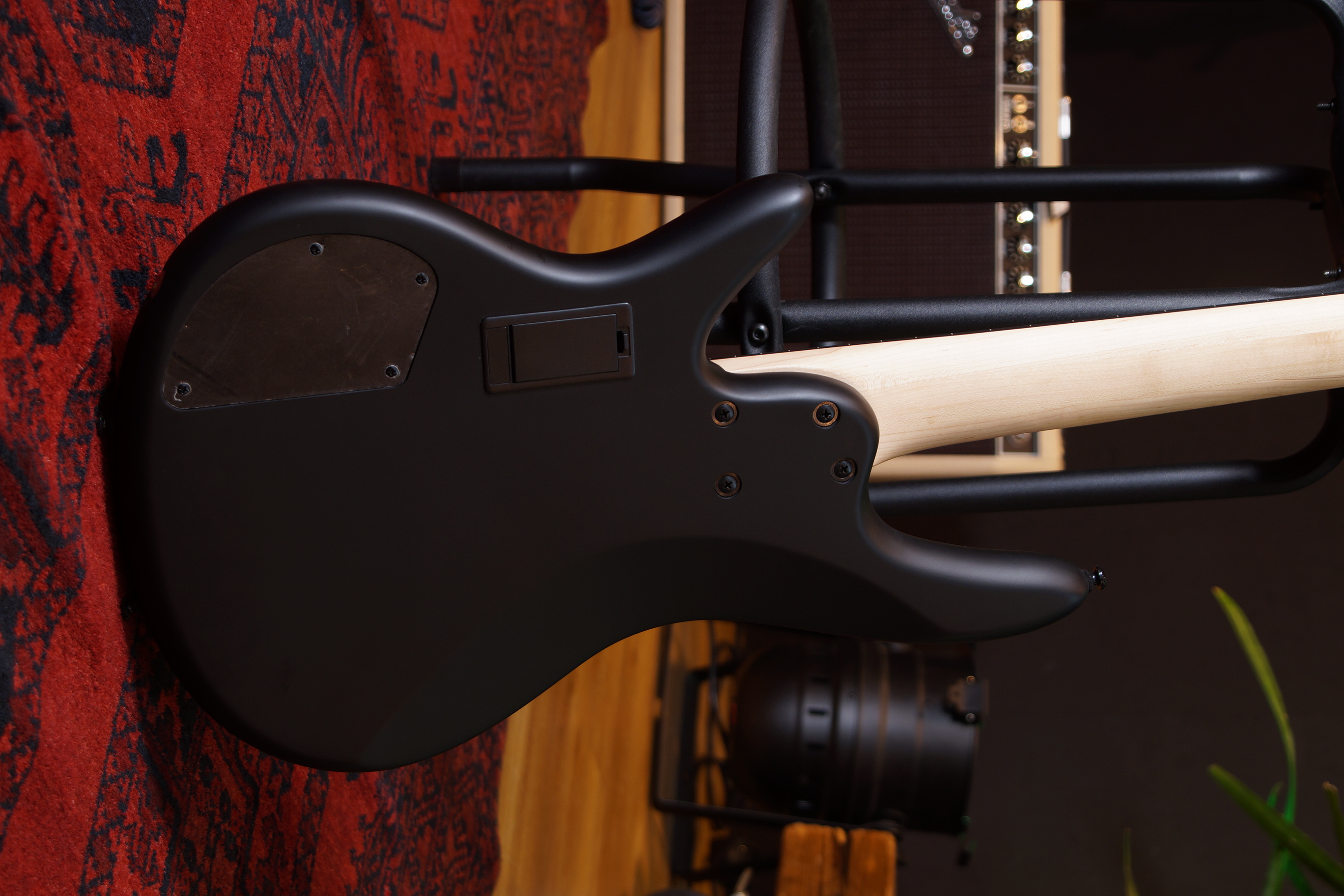 IBANEZ Gary Willis Signature E-Bass 5-String Fretless - Black Flat