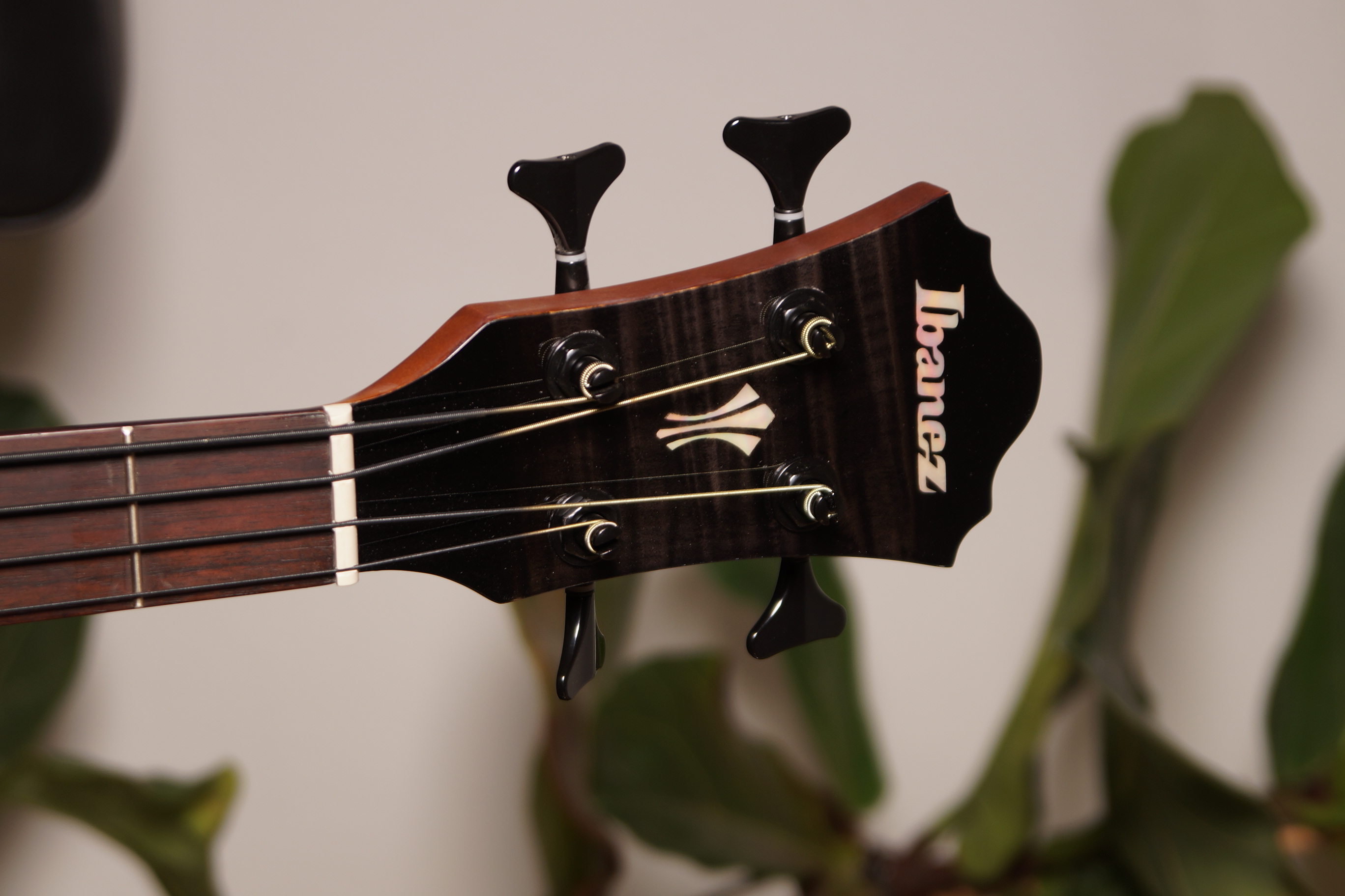 IBANEZ AEGB25E-TKH Akustikbass Transparent Black Sunburst