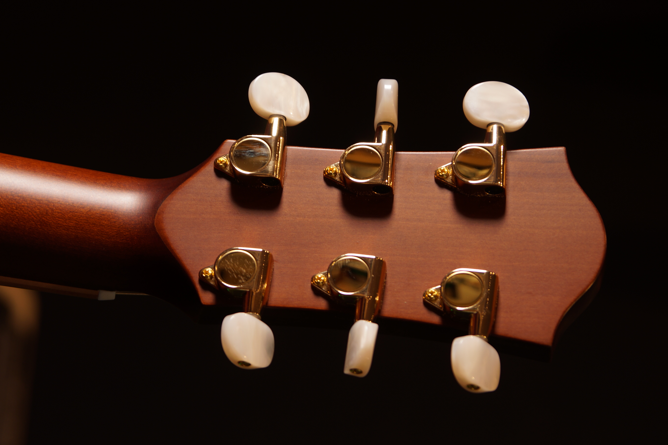 Duke GCr-ELT-Solid incl. Case