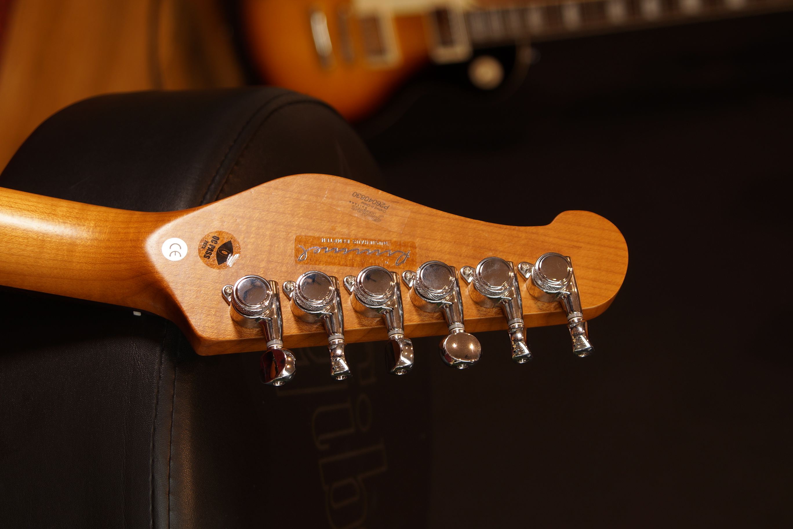 Patina Guitars PJ-6 OX B R Oxblood Relic