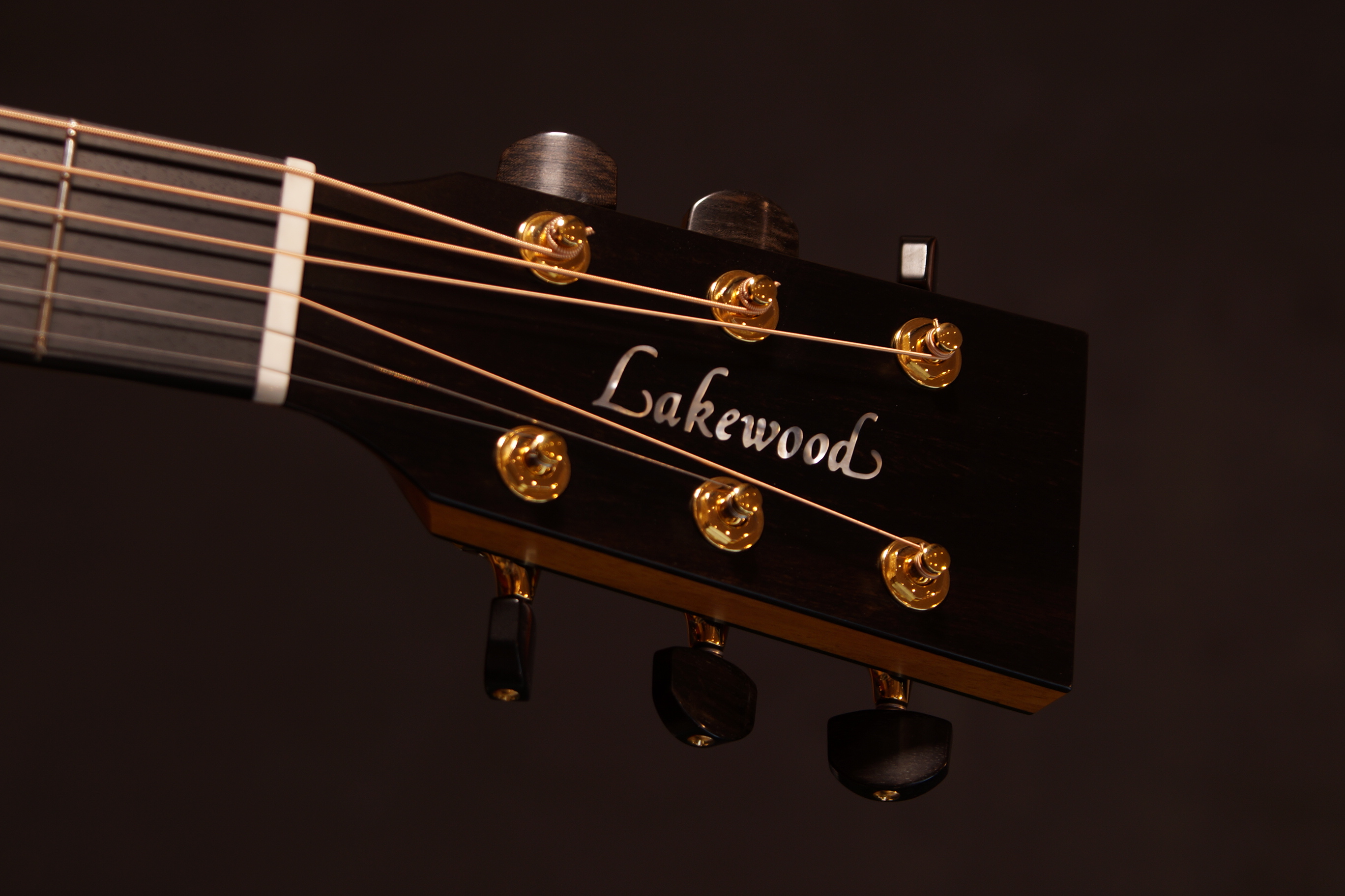Lakewood M-32 CP Deluxe mit L.R Baggs Anthem Tonabnehmer und BAM Koffer