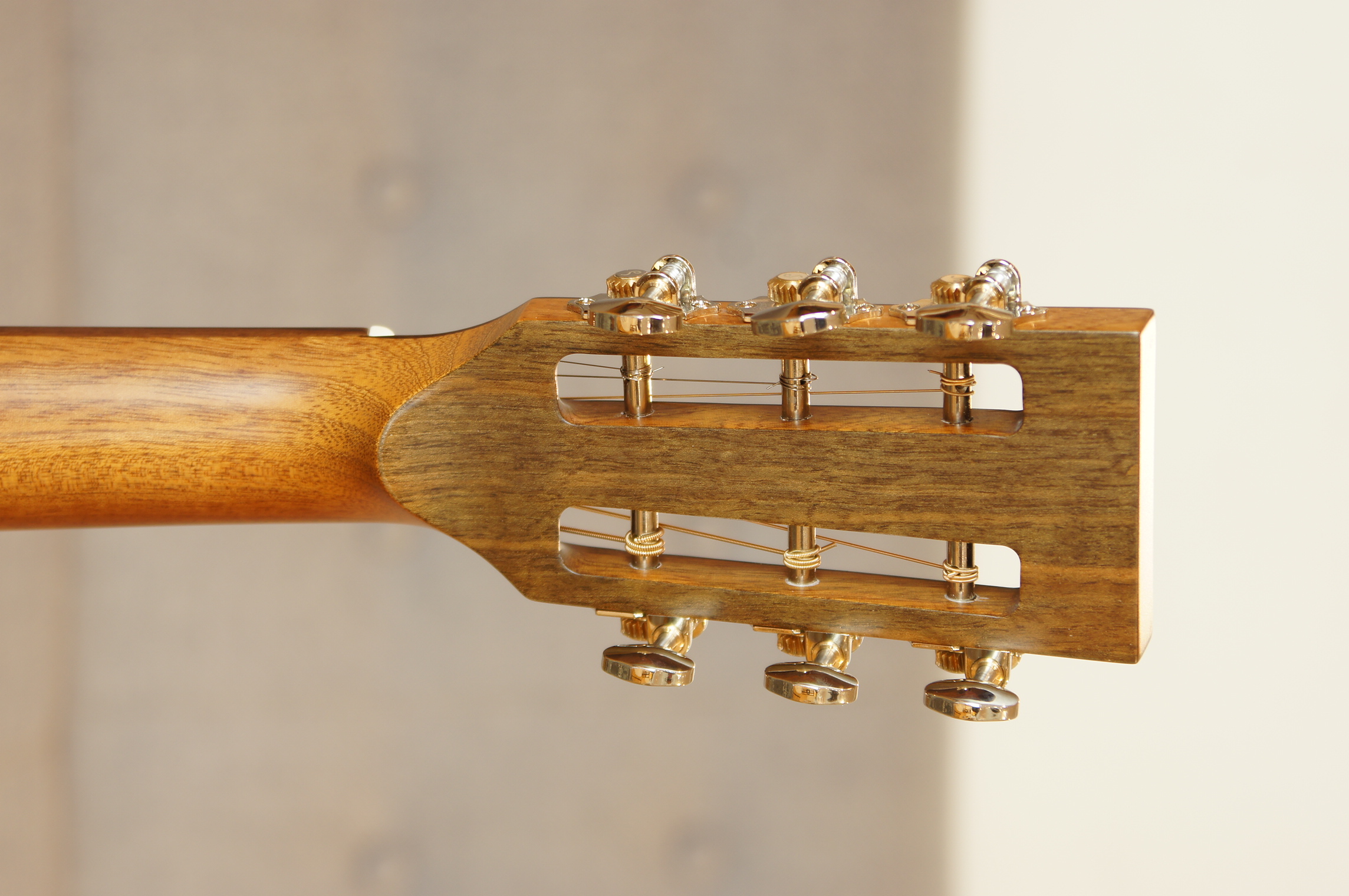 BSG P 12 Parlor Walnuss / Torrified Fichte