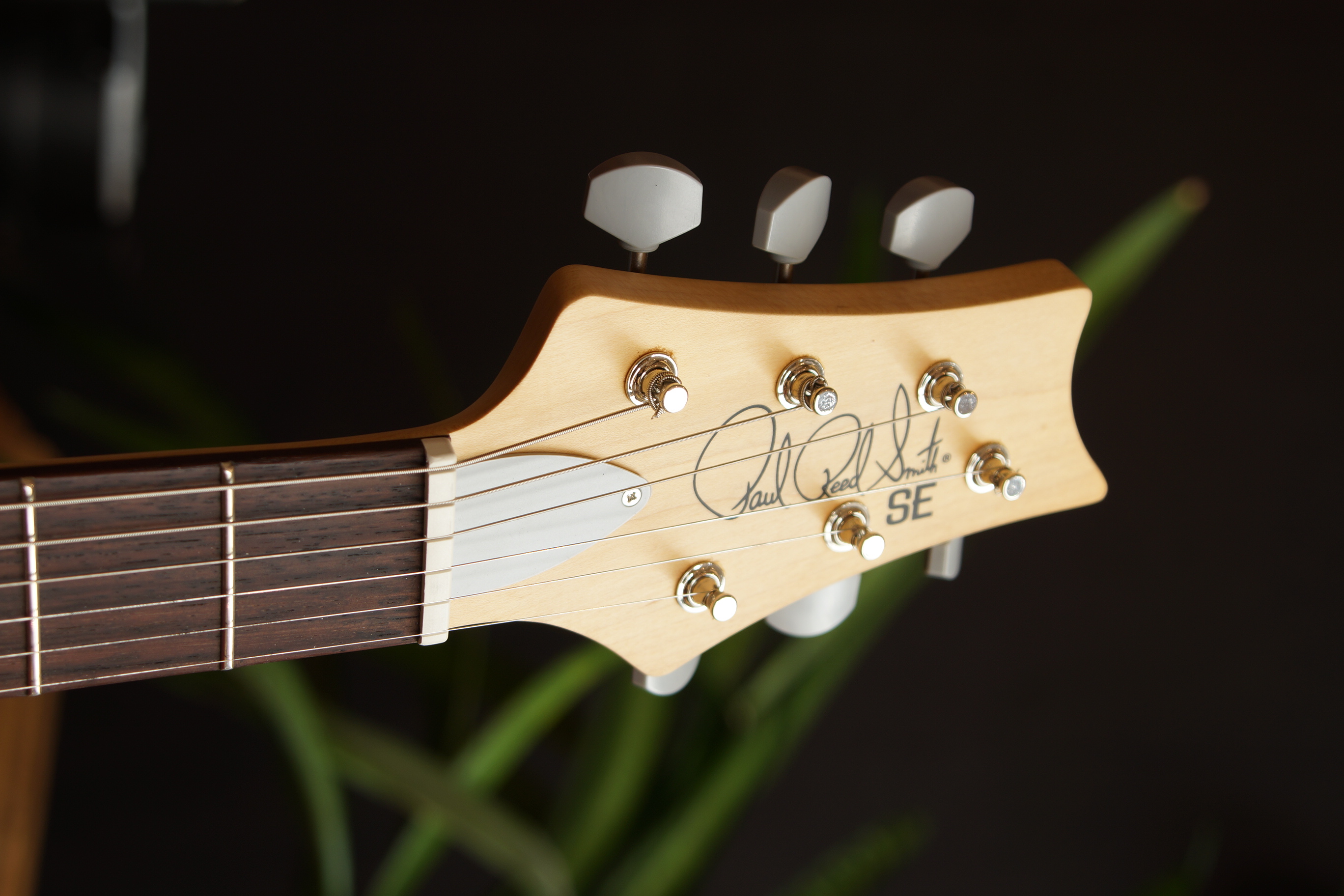 PRS SE Silver Sky Rosewood Dandy Lion
