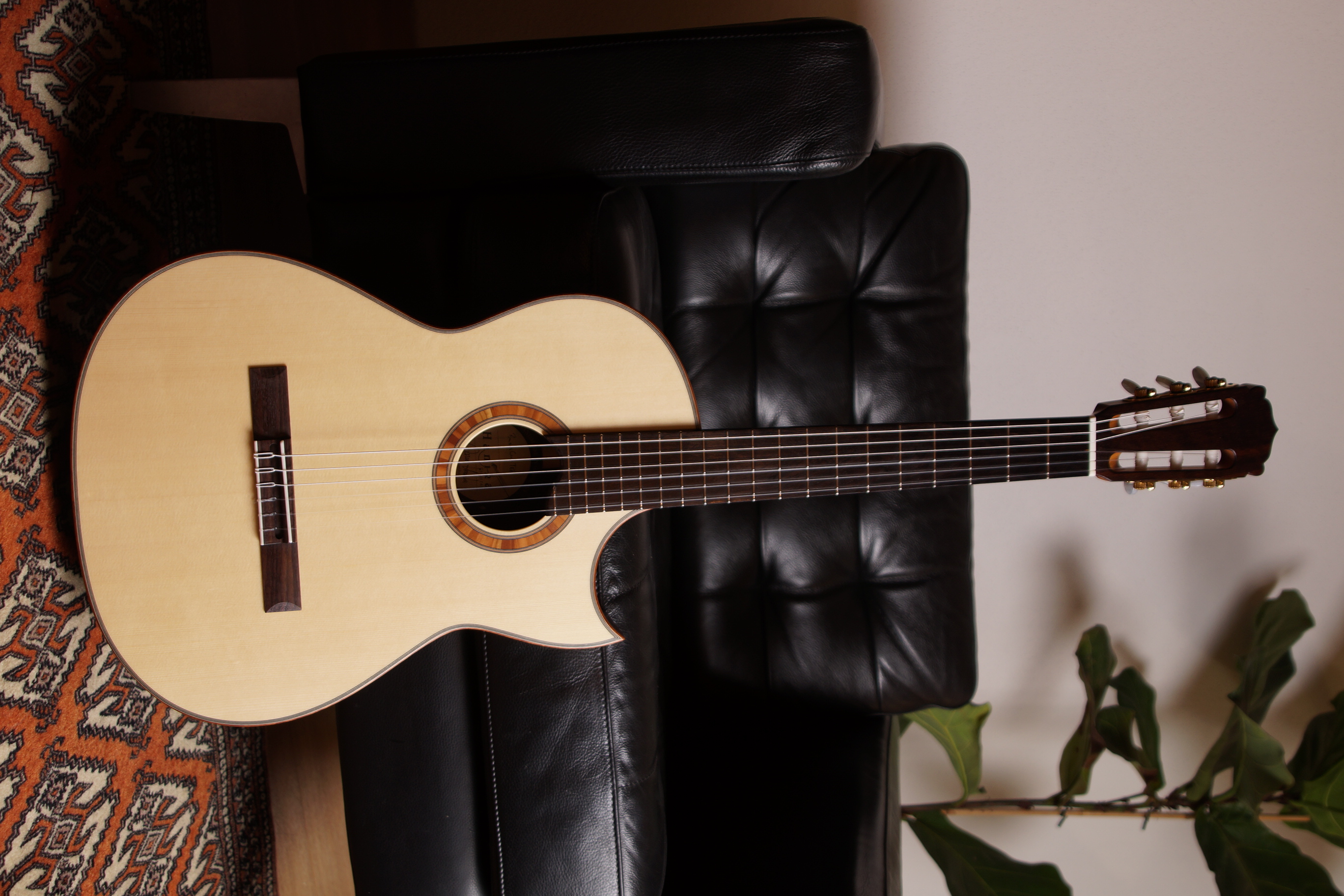 Hanika Basis Cut TEF