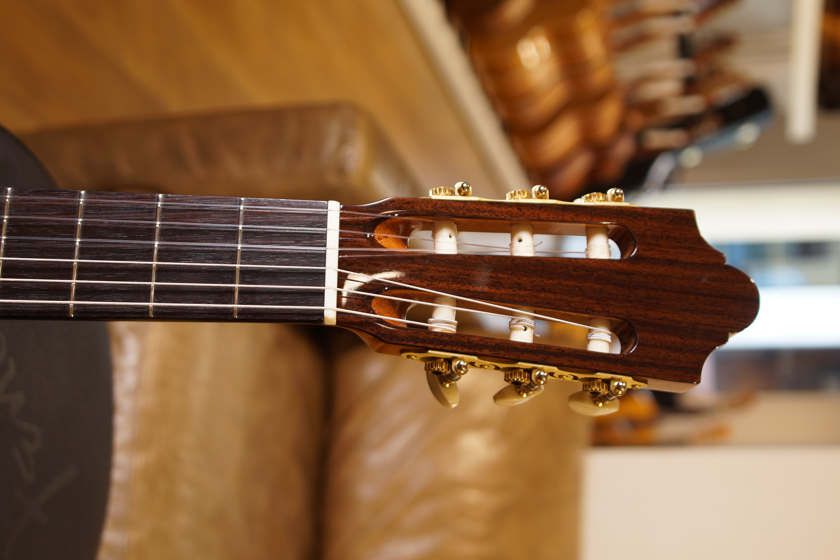 Duke Konzert F LH Linkshänder