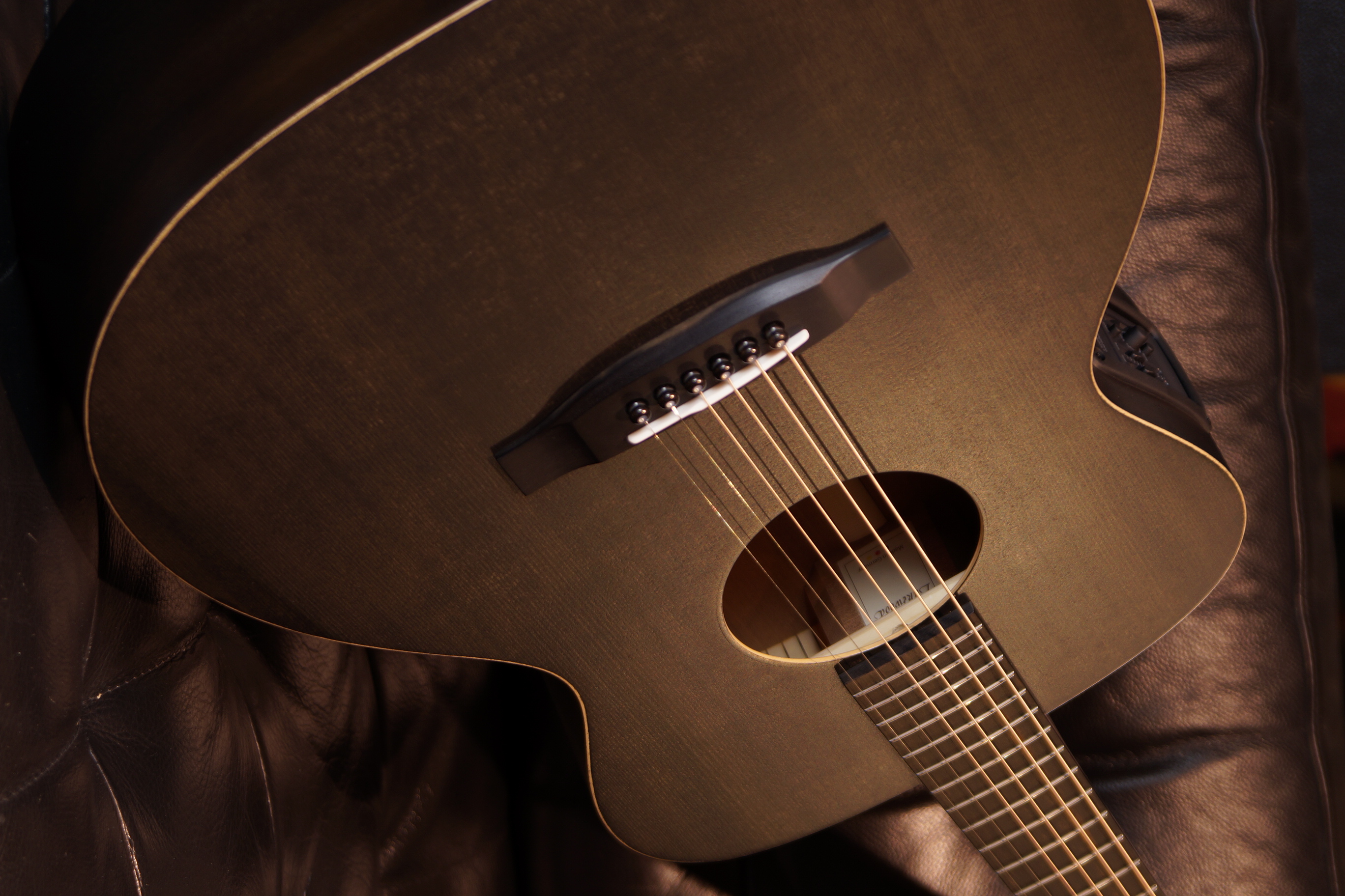 Lakewood Black Sheep mit L.R.Baggs Stage Pro Element und Gigbag