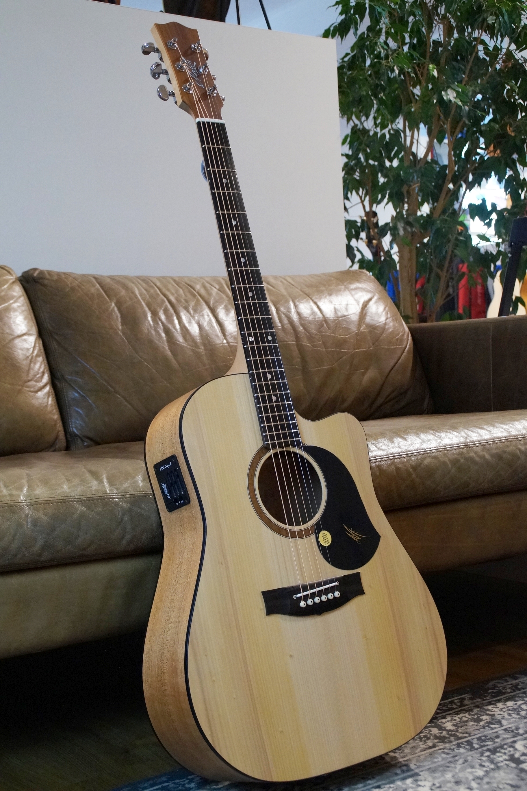 Maton SRS 60 C