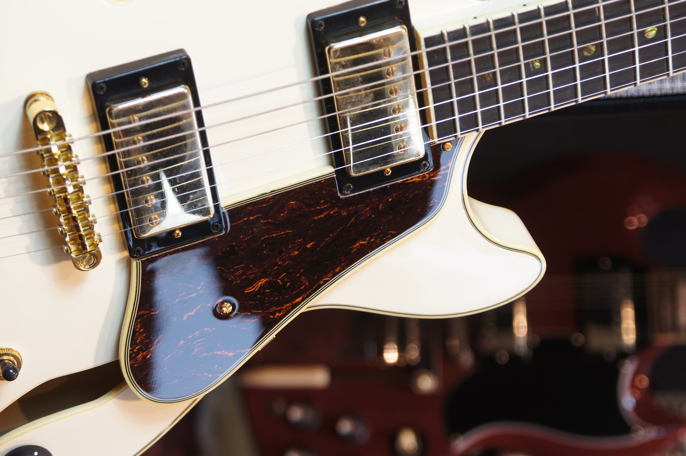 IBANEZ Artcore Expressionist AM Hollowbody Gitarre 6-String - Ivory