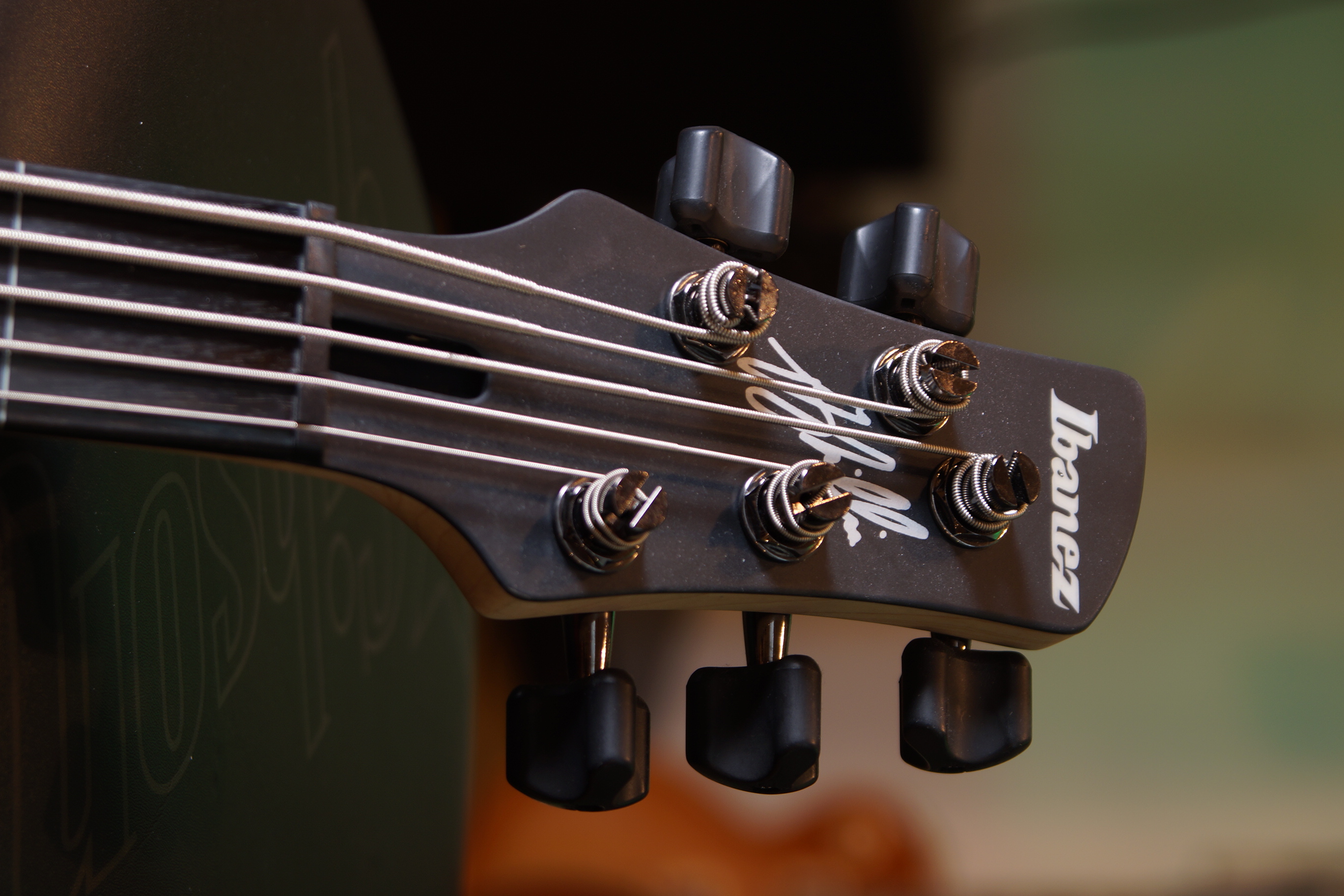 IBANEZ Gary Willis Signature E-Bass 5-String Fretless - Black Flat