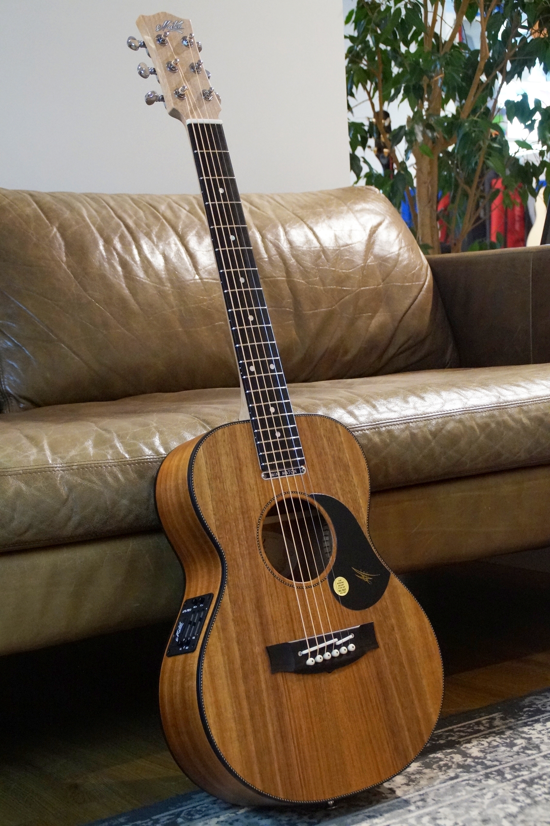 Maton EMBW 6 Mini