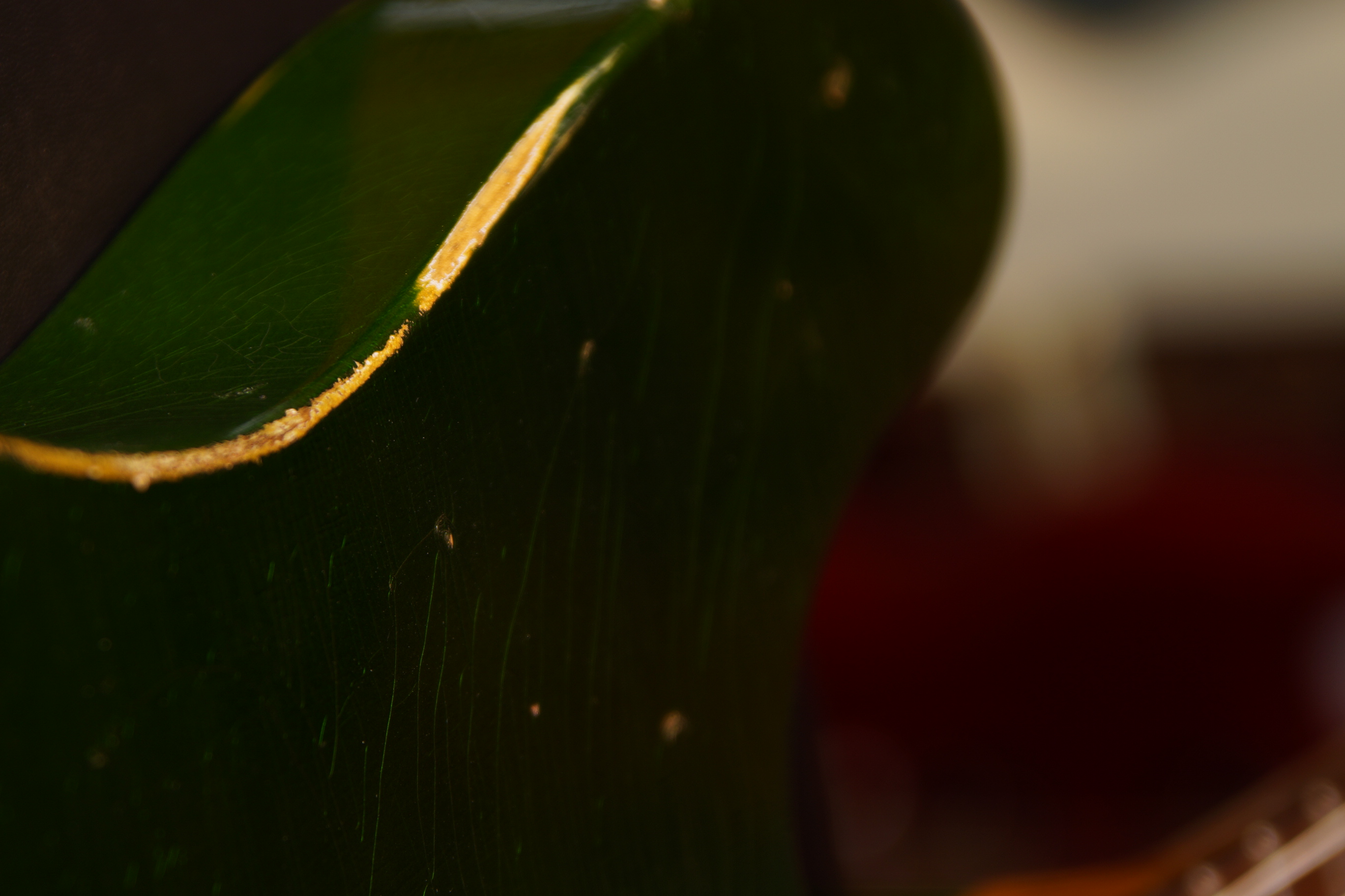 Atkin Electric Mindhorn Deluxe black aged