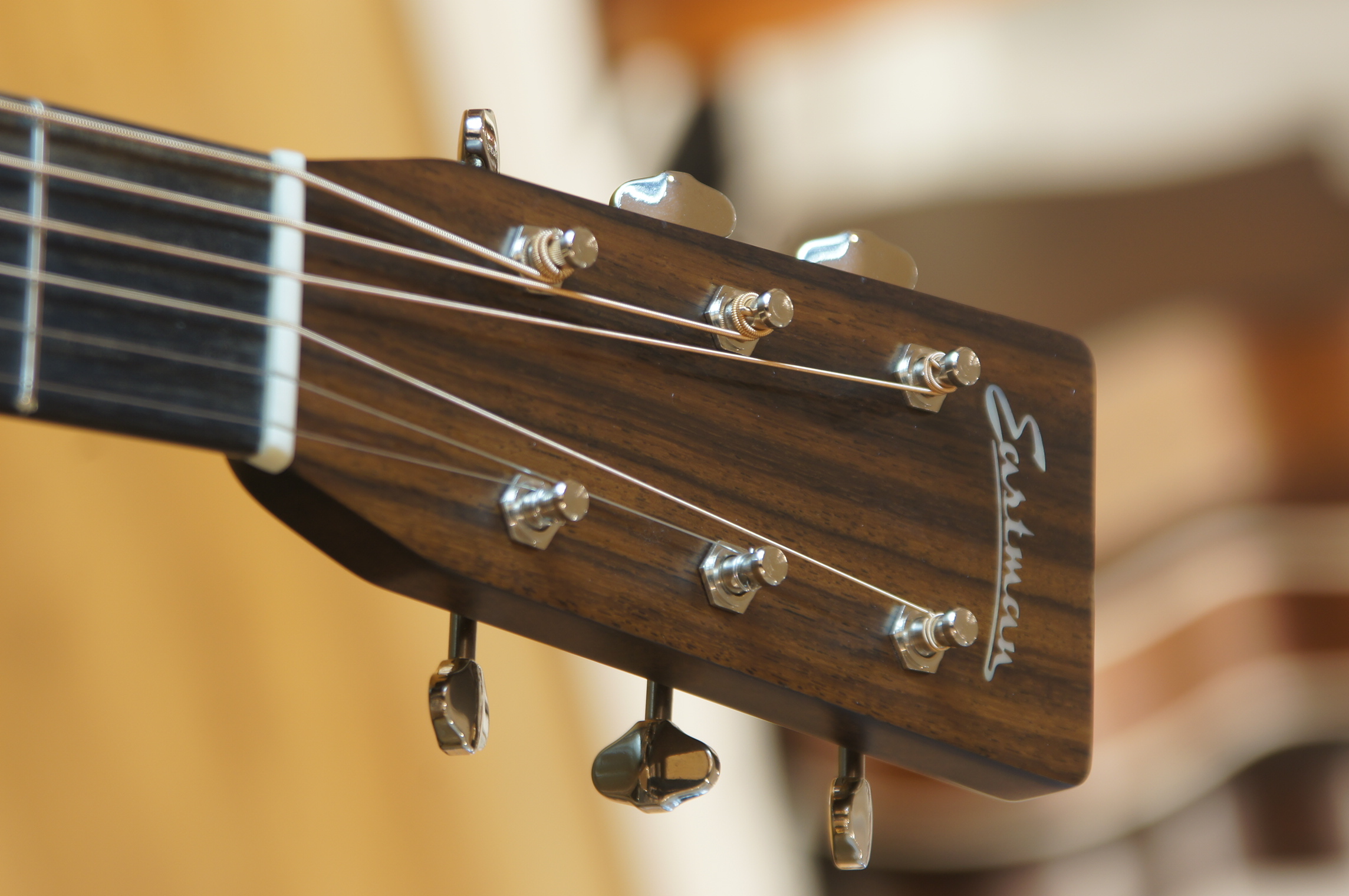 Eastman E20OM-TC Thermo Cure mit Koffer