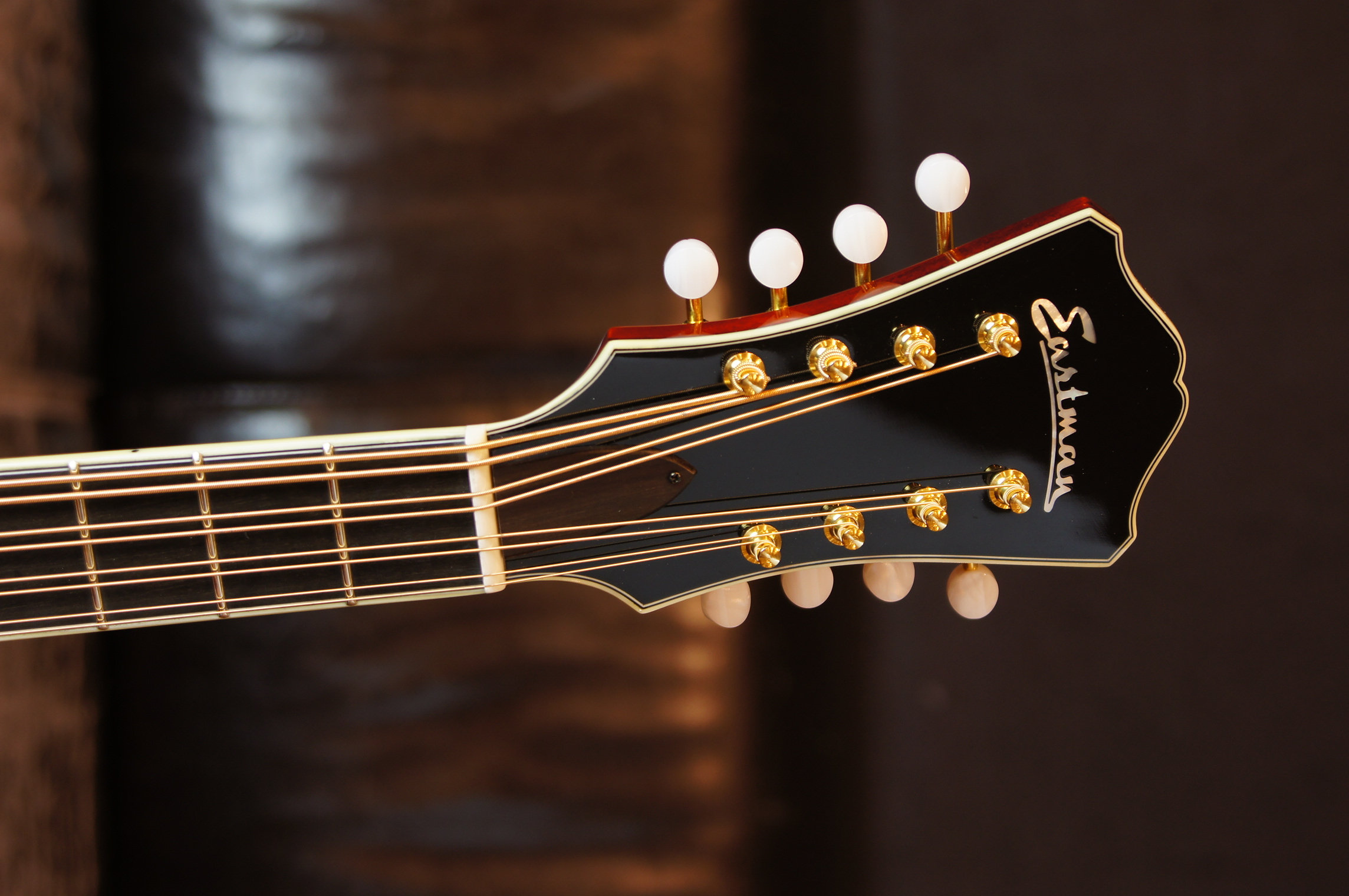 Eastman MDC804 Mandocello