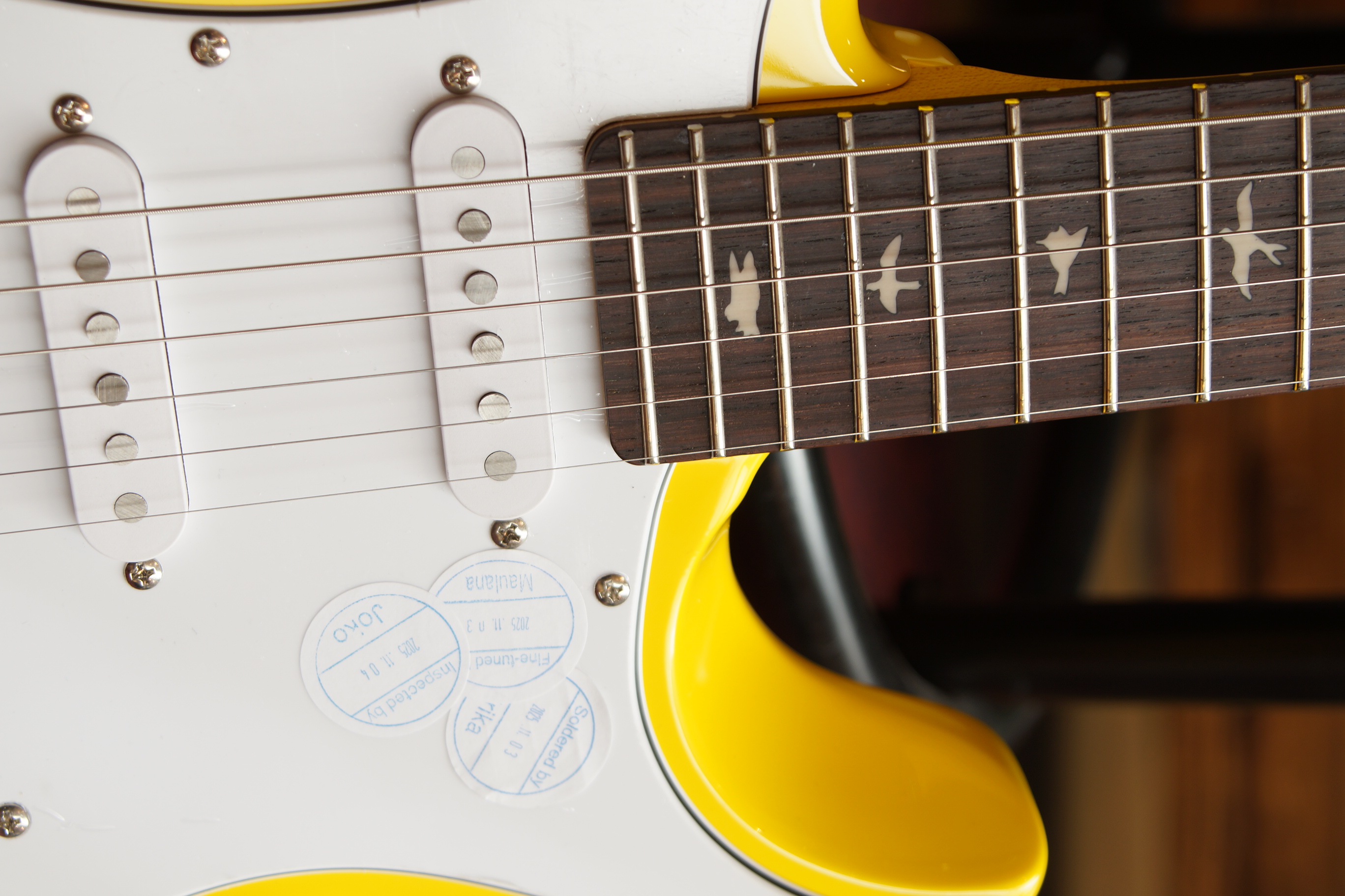 PRS SE Silver Sky Rosewood Dandy Lion