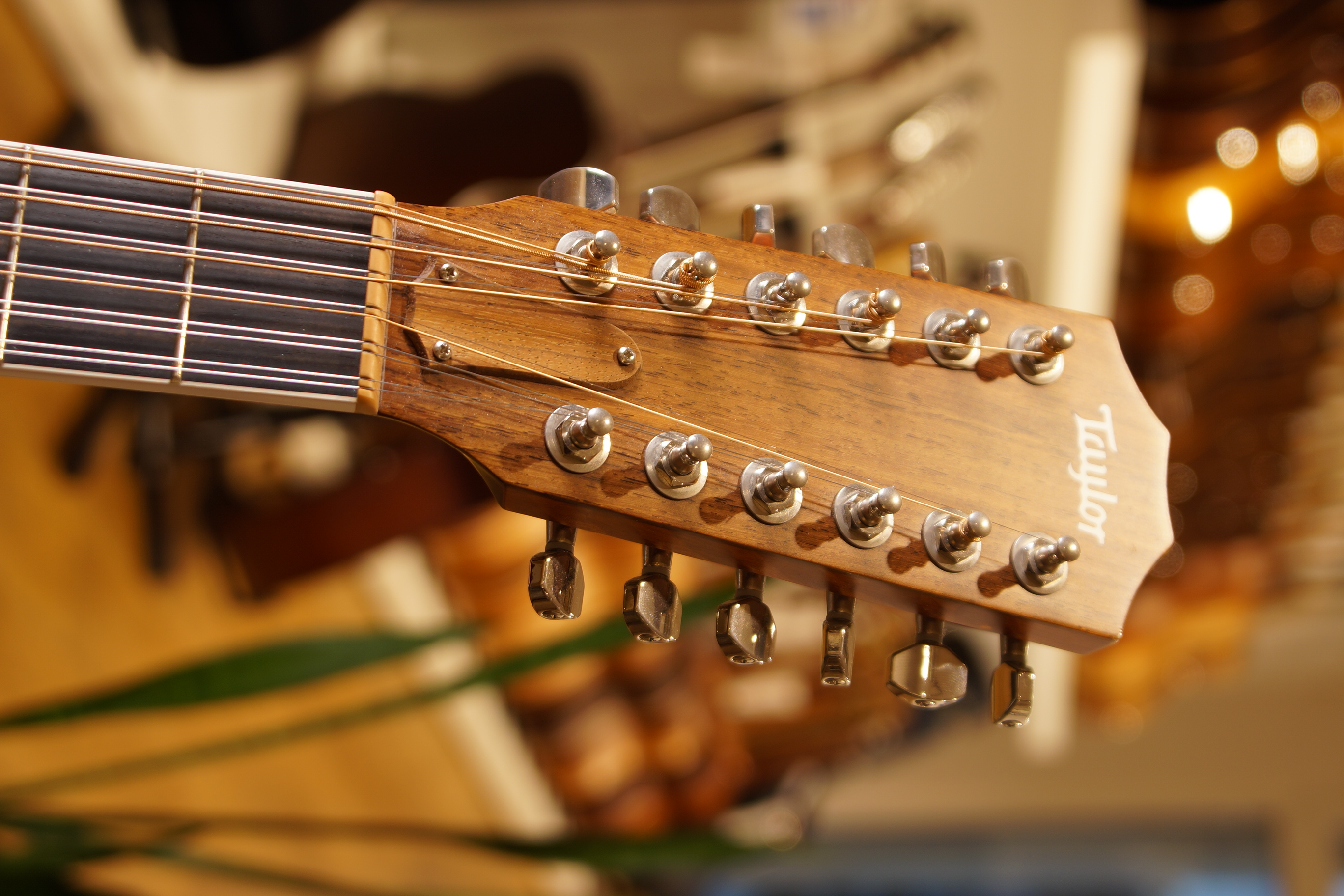 Taylor 456ce 12-String BJ 2015 gebraucht mit Koffer