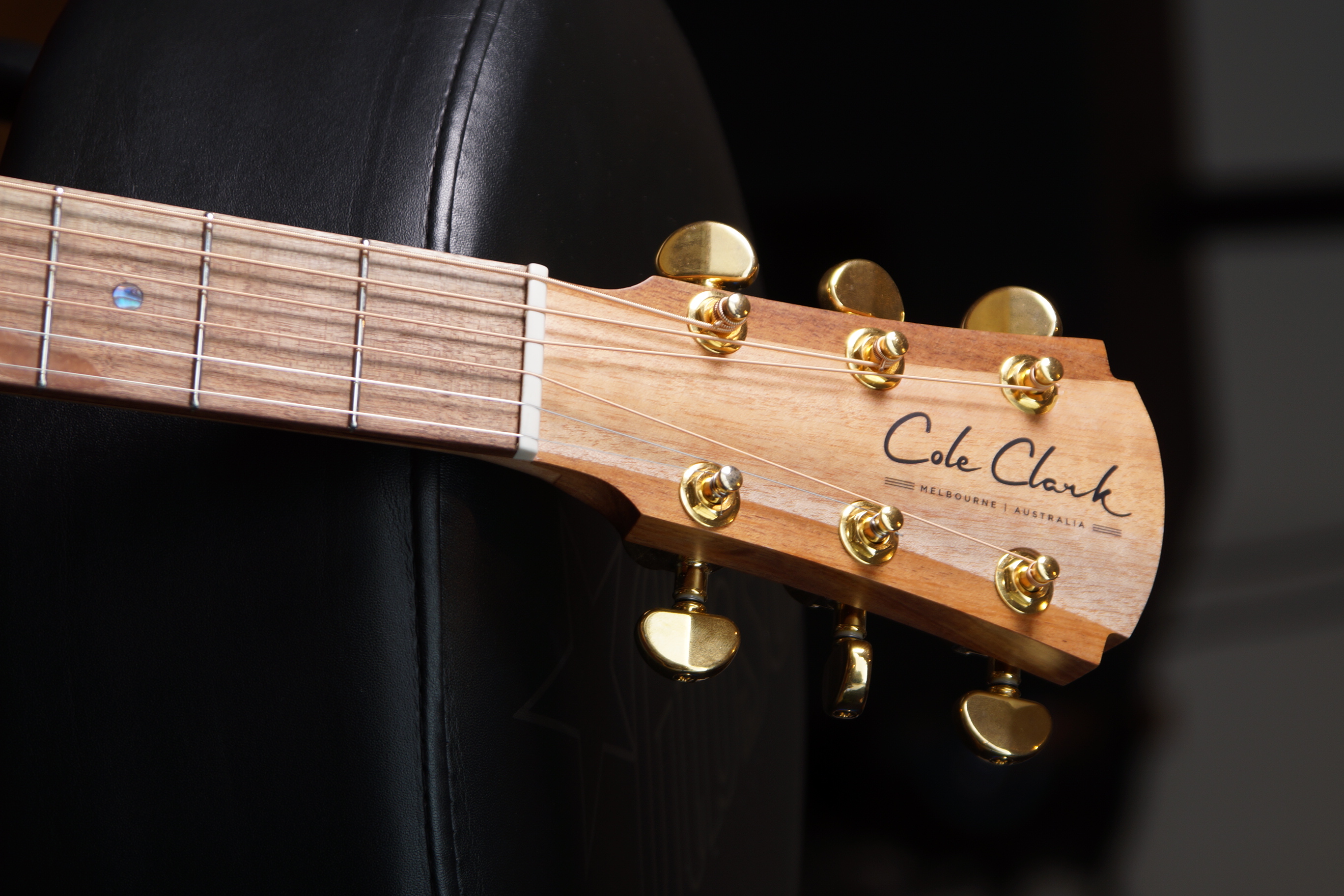 Cole Clark GA - AN2EC-BLBL