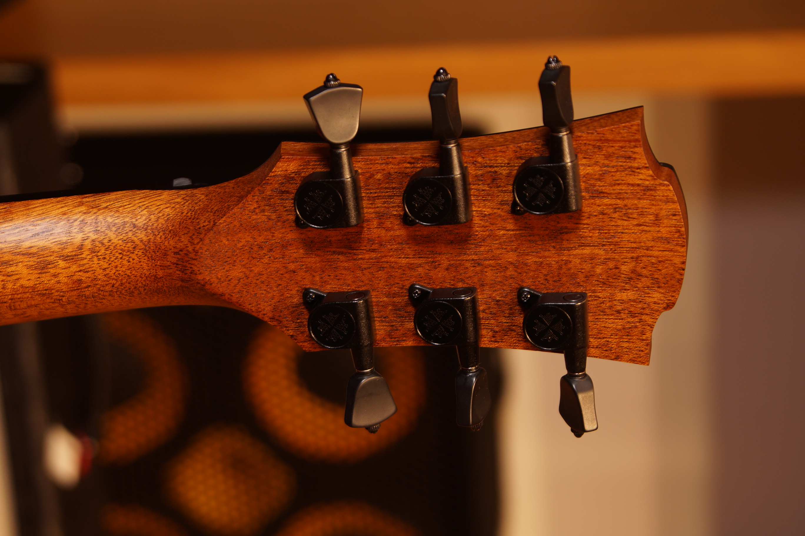 LÂG Sauvage Travel mit Gigbag