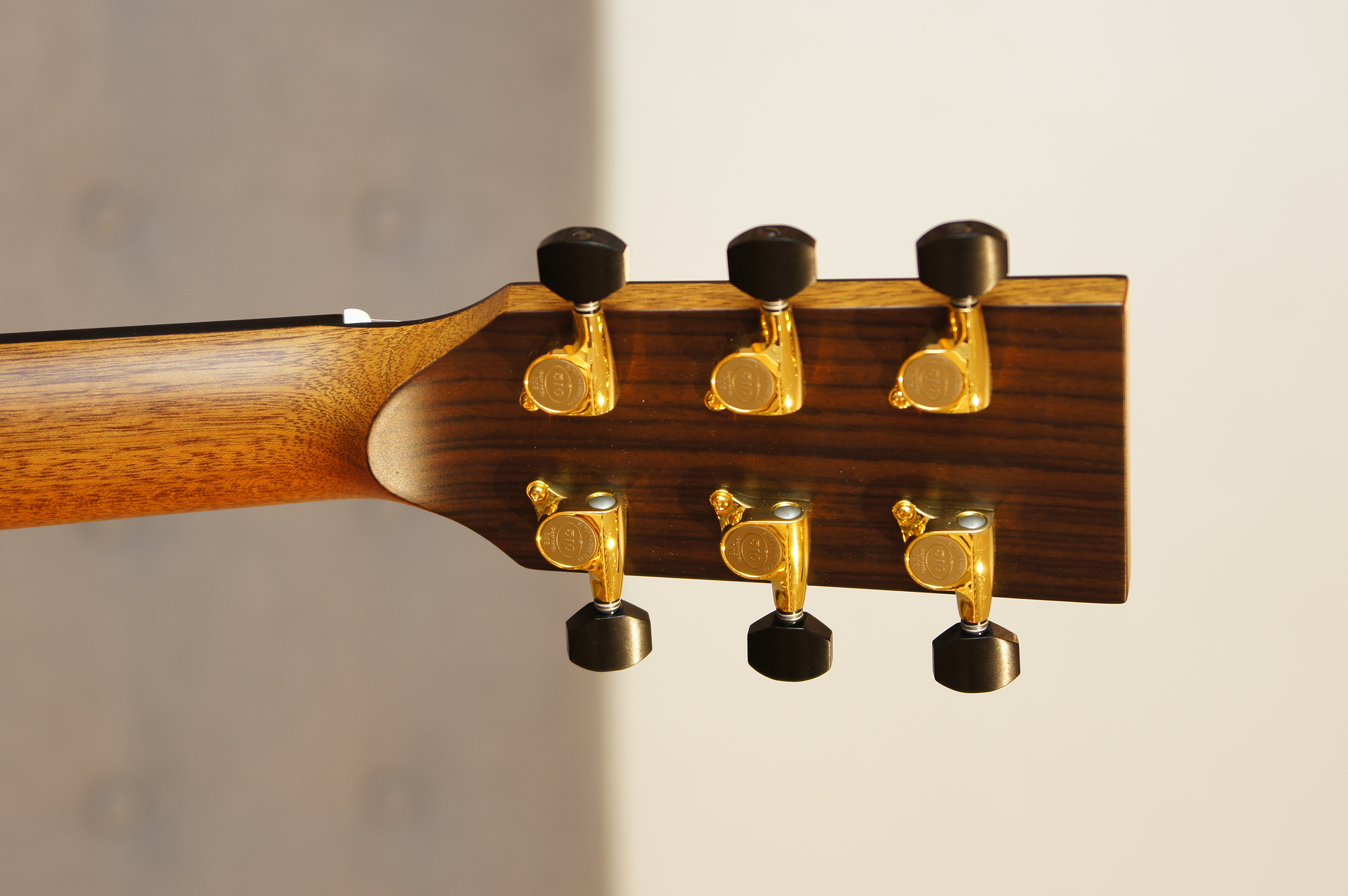 BSG GA 27 CF - Palisander / Fichte