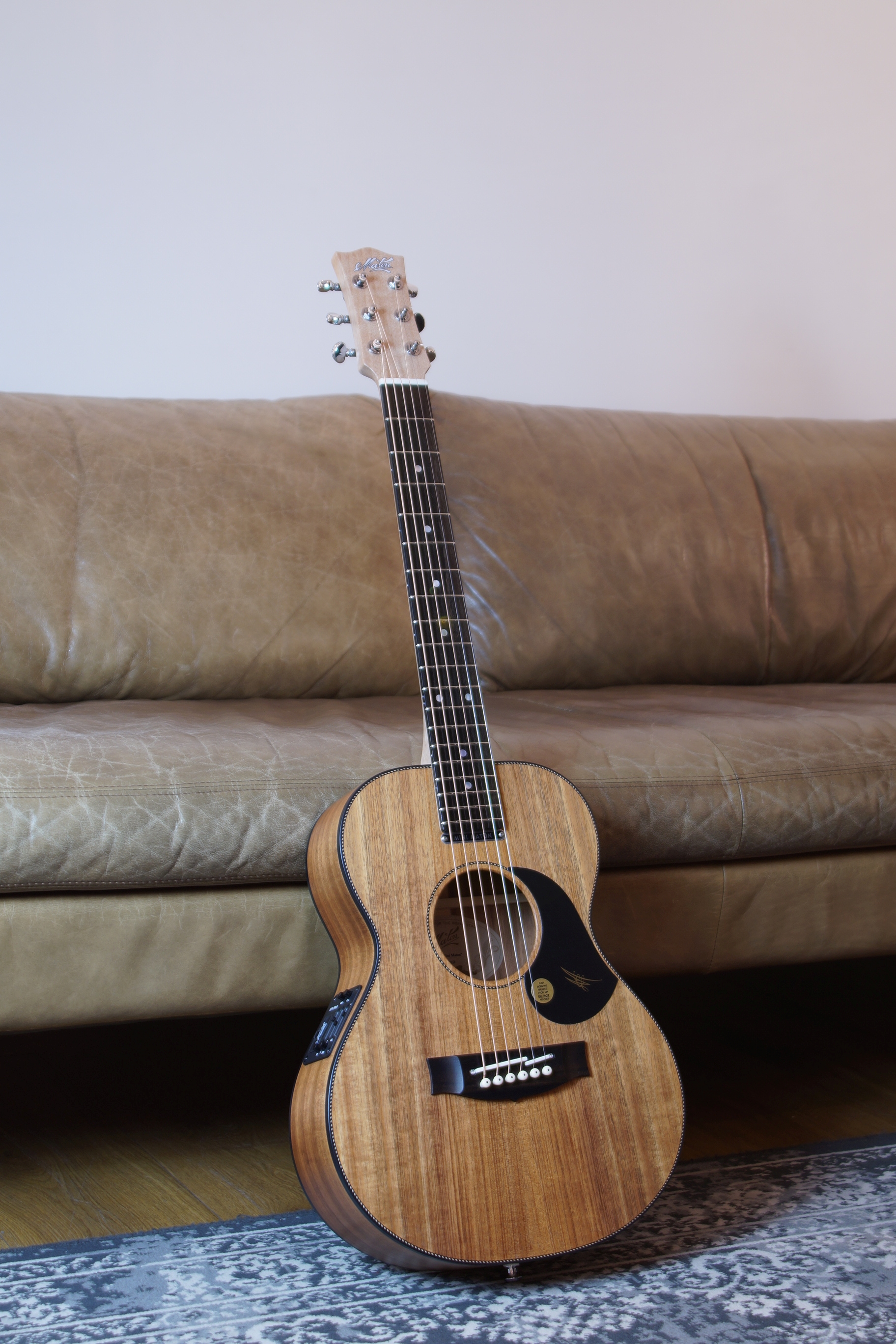 Maton EMBW 6 Mini